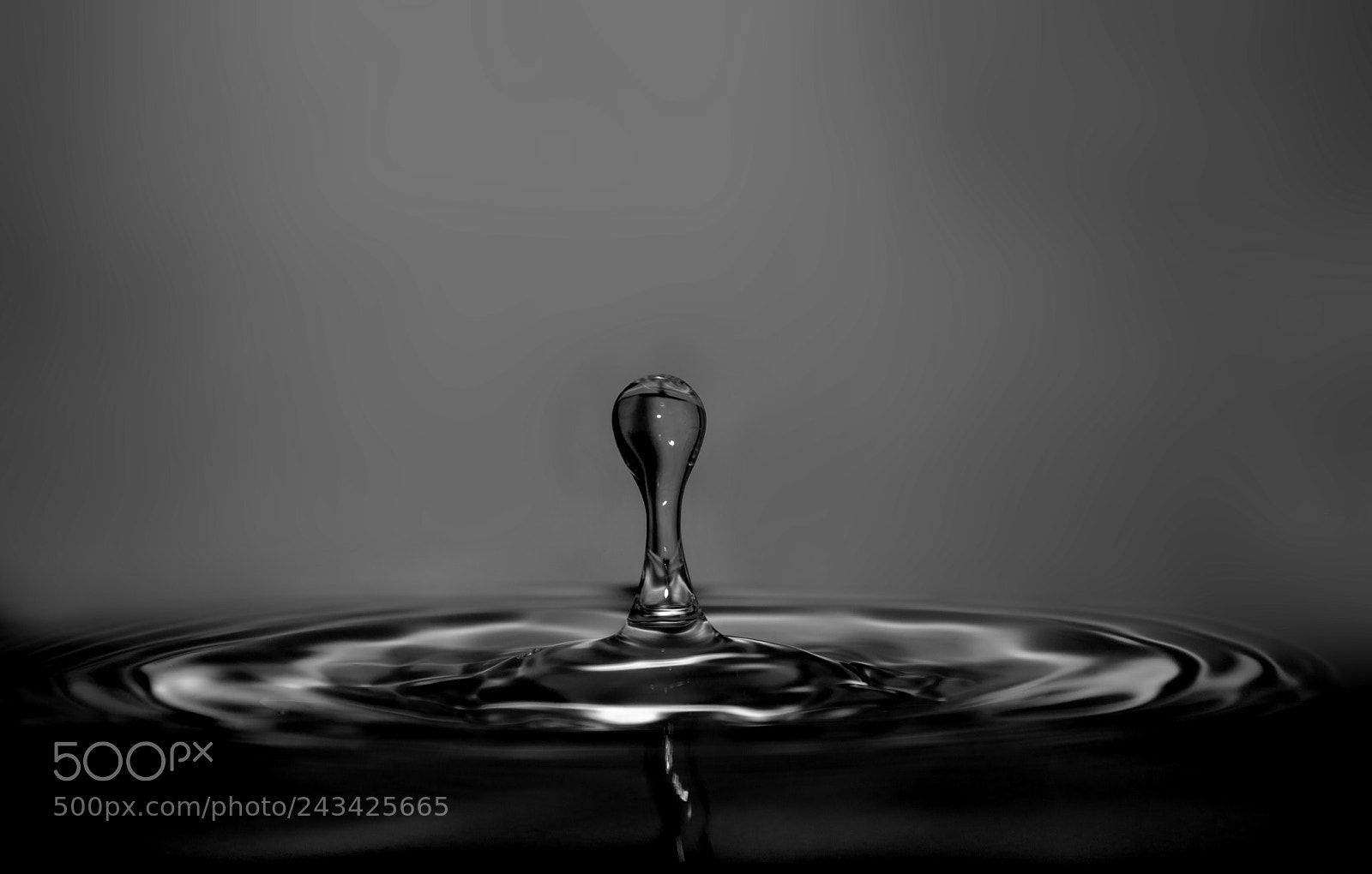 Nikon D7200 sample photo. Water drop photography