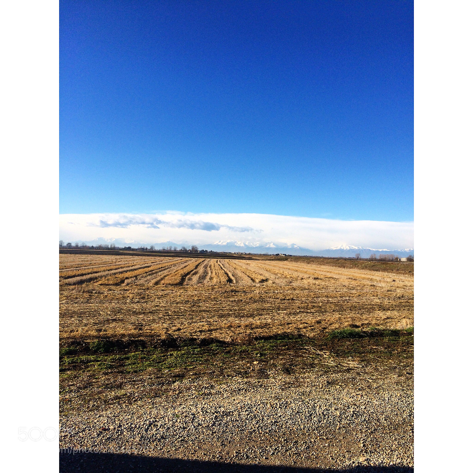 Apple iPhone 5s sample photo. In the middle of photography