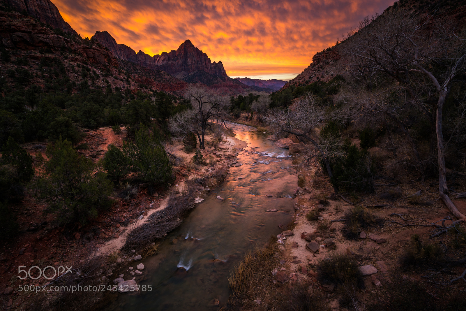 Sony a7R II sample photo. Zion national park photography
