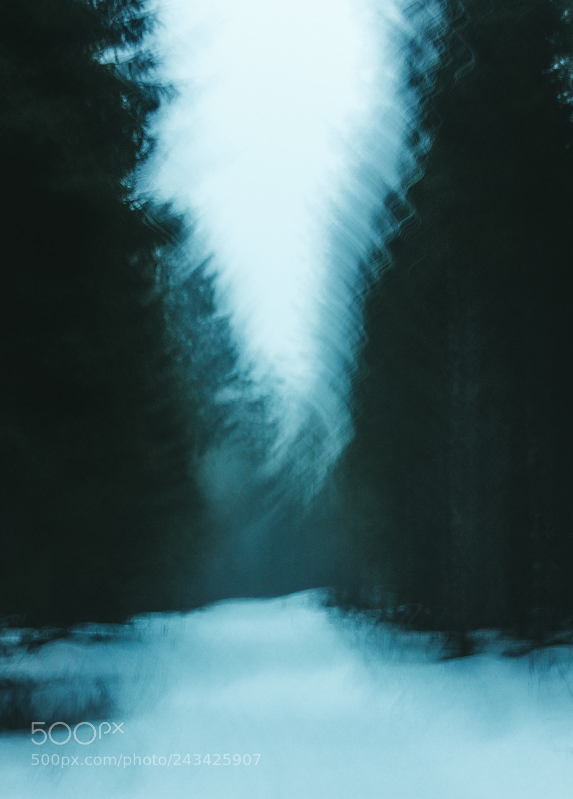 Canon EOS 600D (Rebel EOS T3i / EOS Kiss X5) sample photo. Moody forest photography