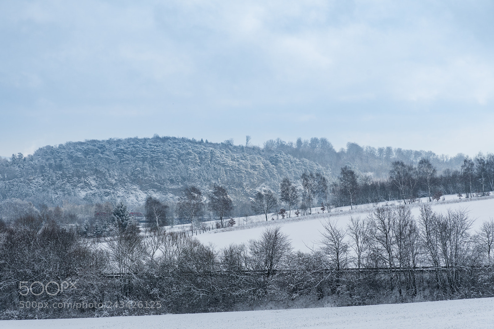 Nikon D7500 sample photo. Snowfall photography