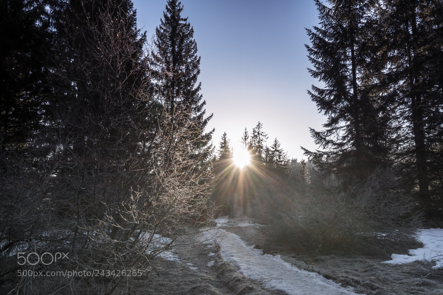 Sony a7 II sample photo. Jura sonnenaufgang photography