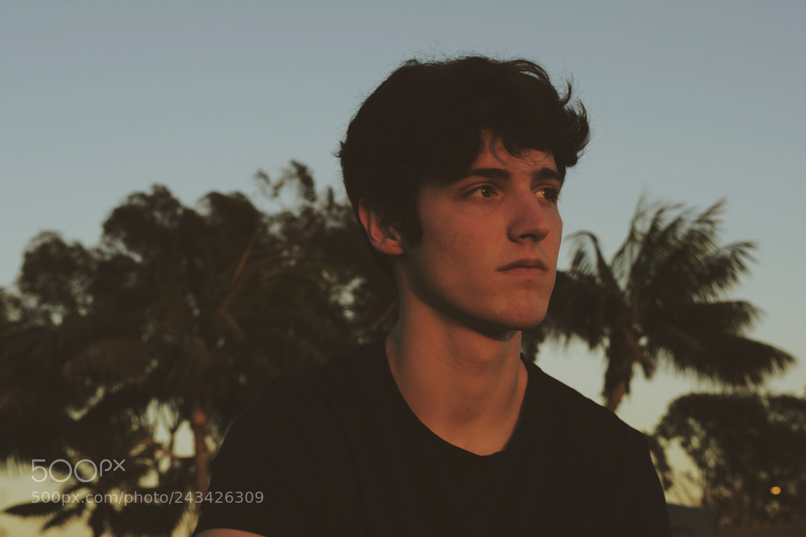 Nikon D7100 sample photo. Low-light sunlight photography