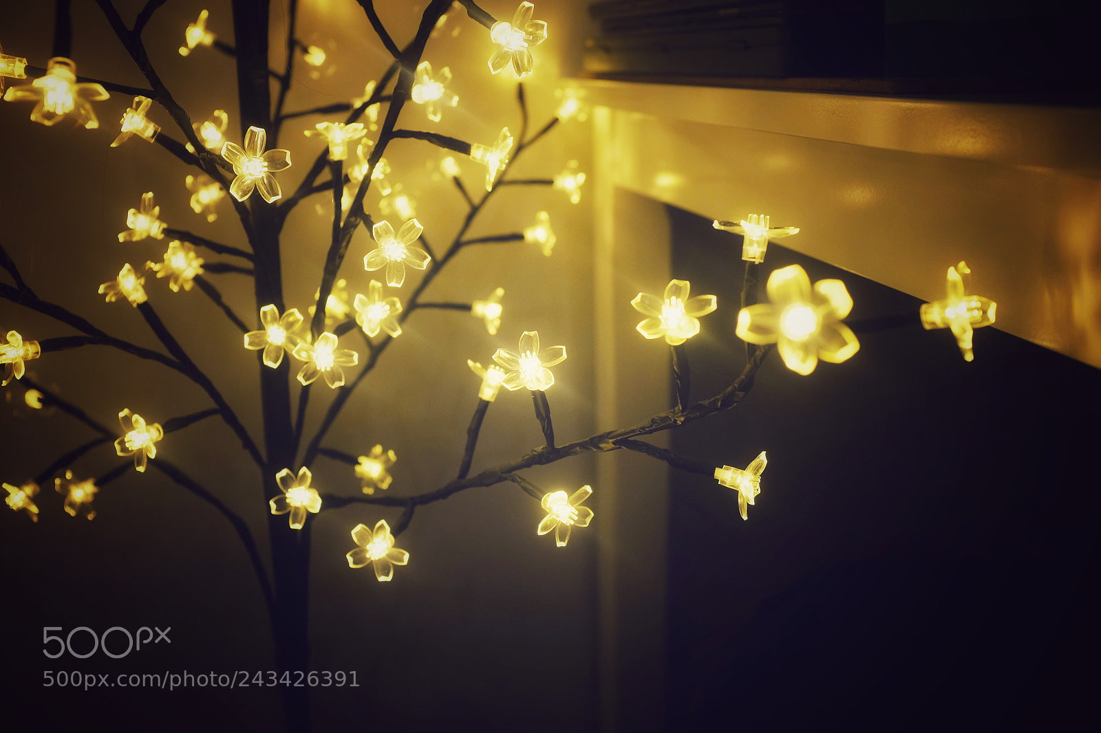 Fujifilm X100S sample photo. Untitled photography