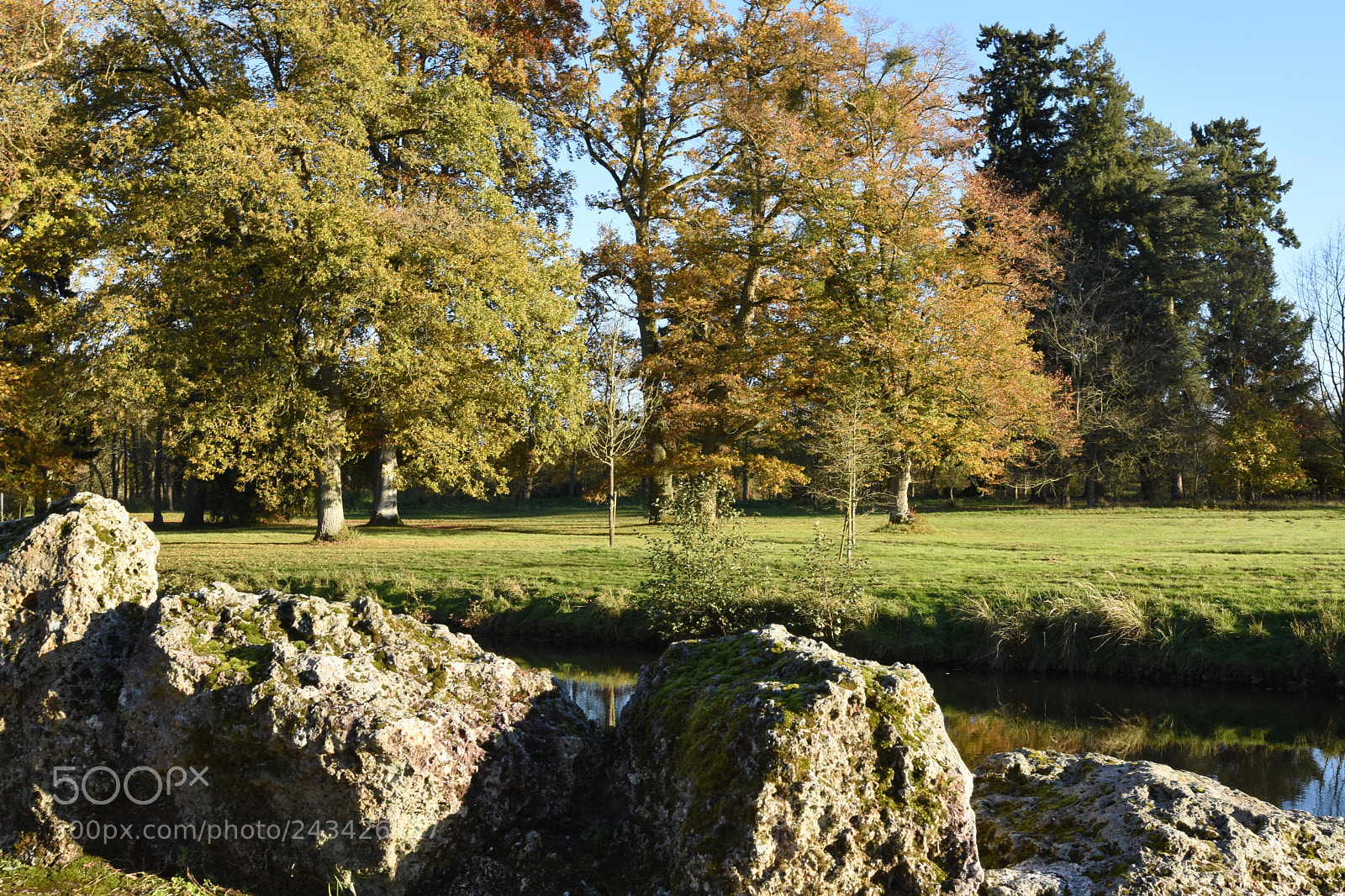 Nikon D7200 sample photo. Rambouillet parc photography