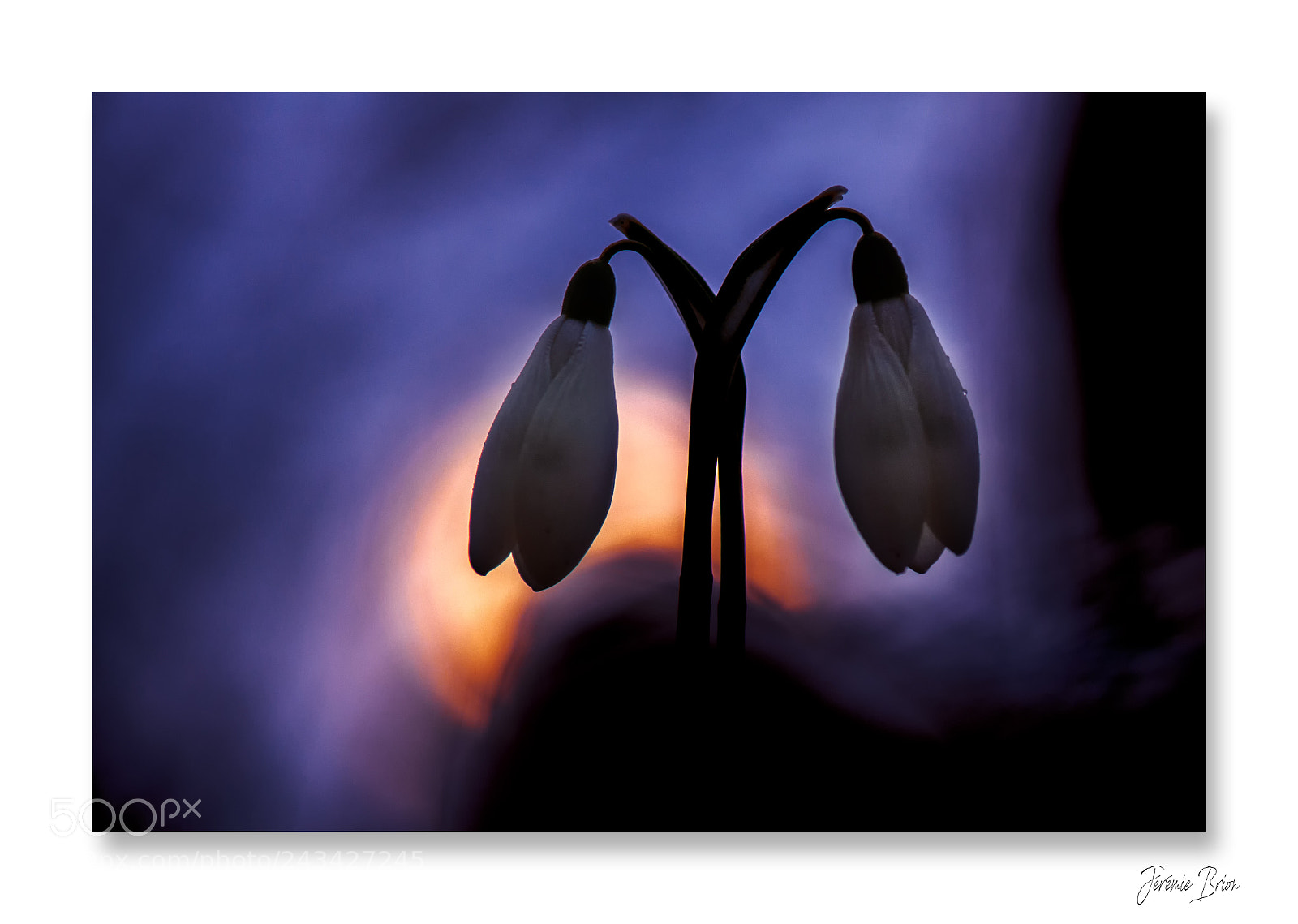 Nikon D90 sample photo. Le duo ... photography