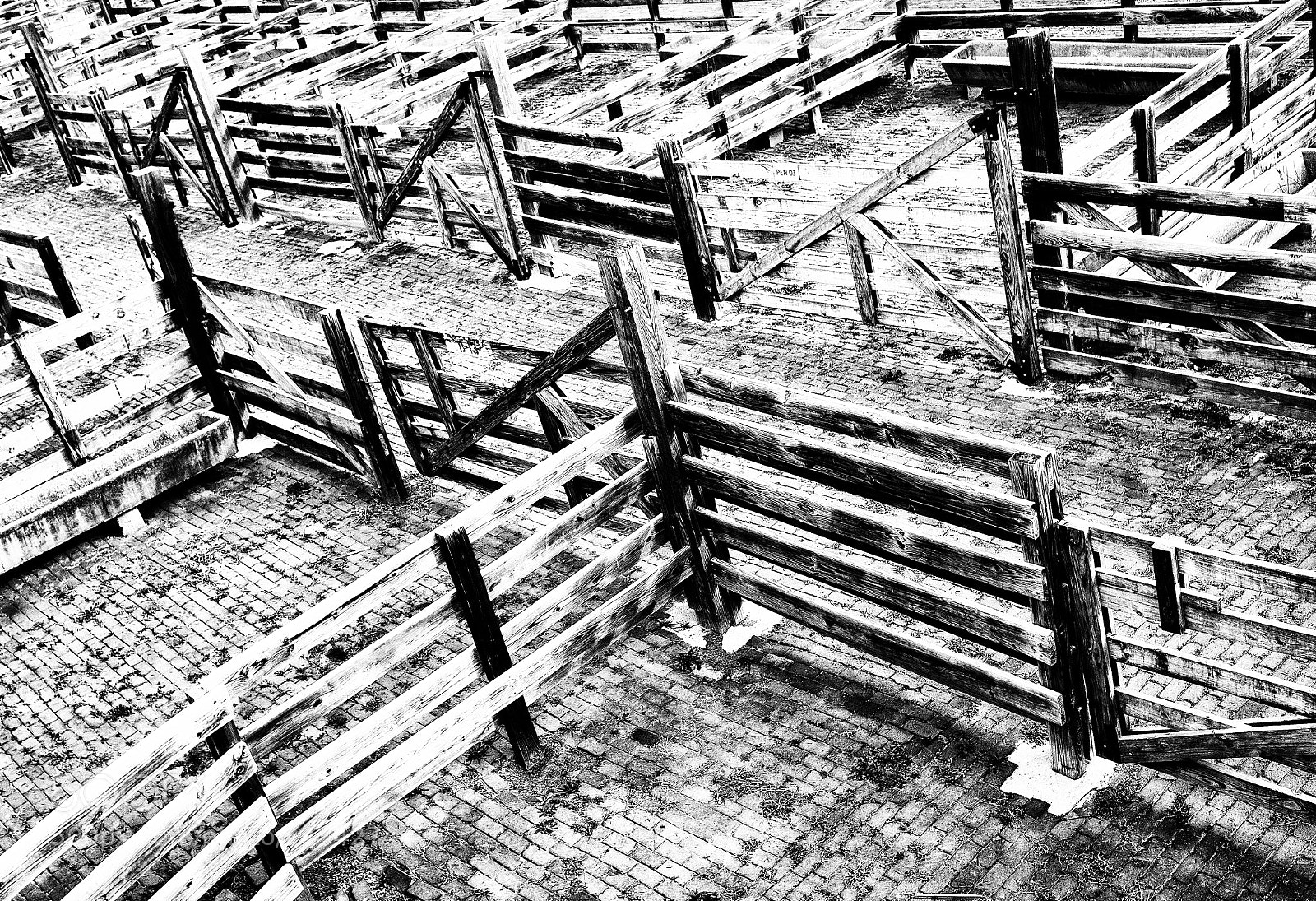 Fujifilm X-T1 sample photo. The stockyard photography