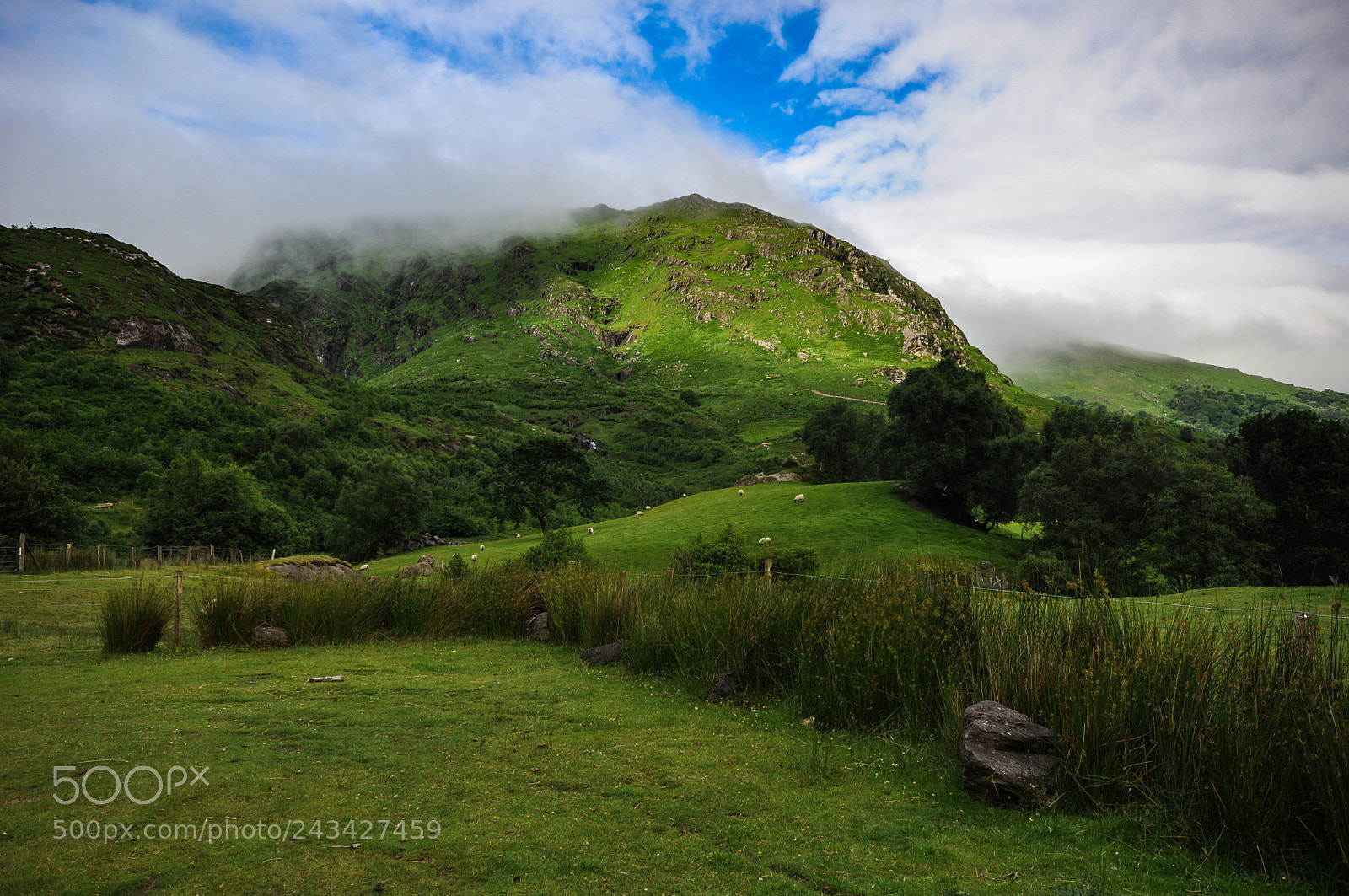 Nikon D90 sample photo. Ireland photography