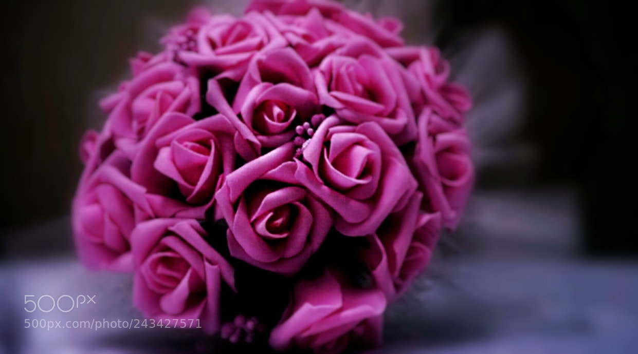 Sony Alpha a5000 (ILCE 5000) sample photo. Pink bouquet! photography