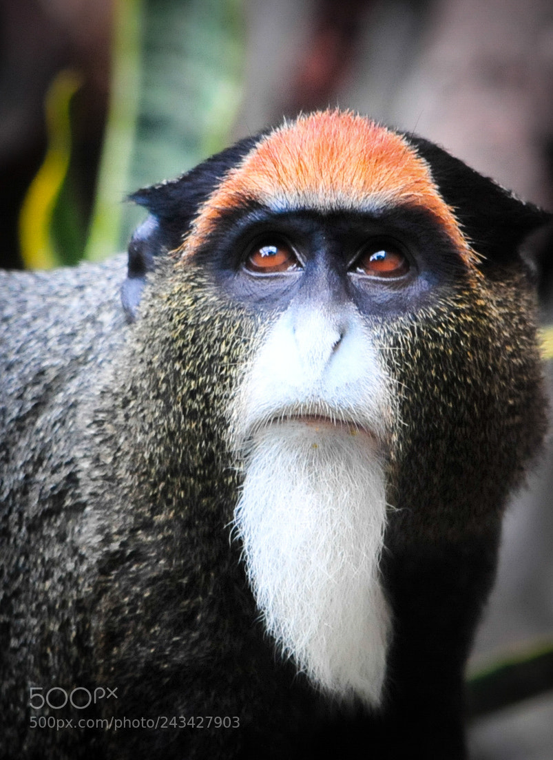 Nikon D300 sample photo. Sad eyes photography