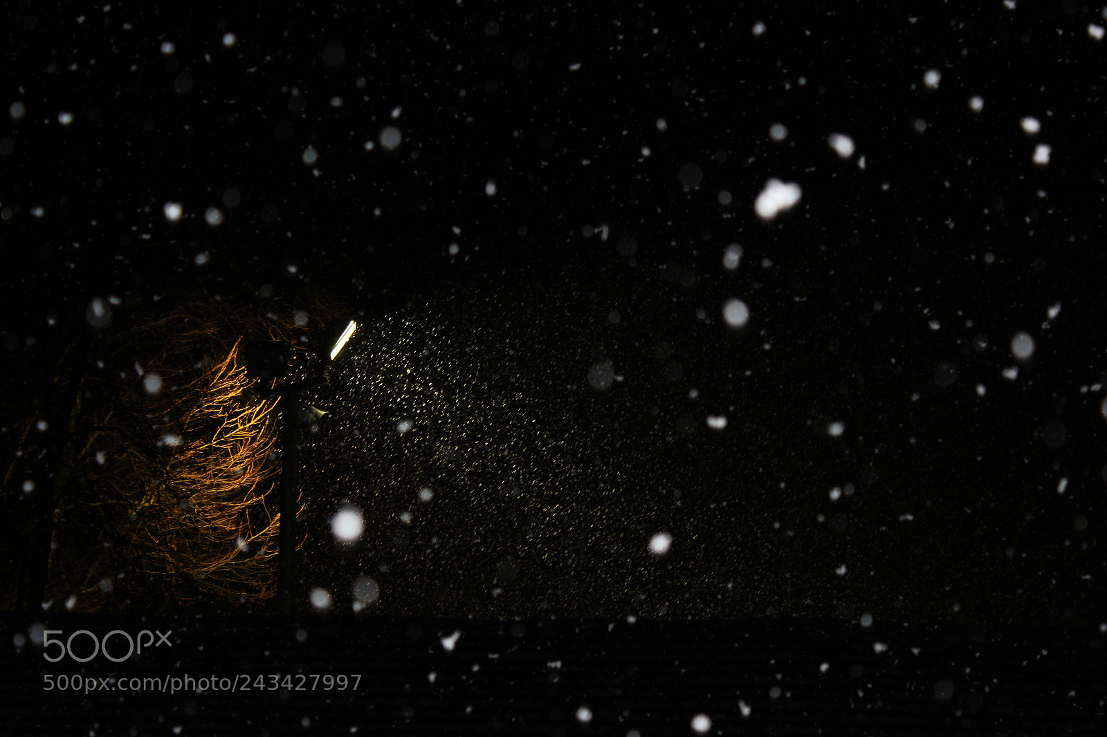 Canon EOS 550D (EOS Rebel T2i / EOS Kiss X4) sample photo. Schneefall bei nacht photography