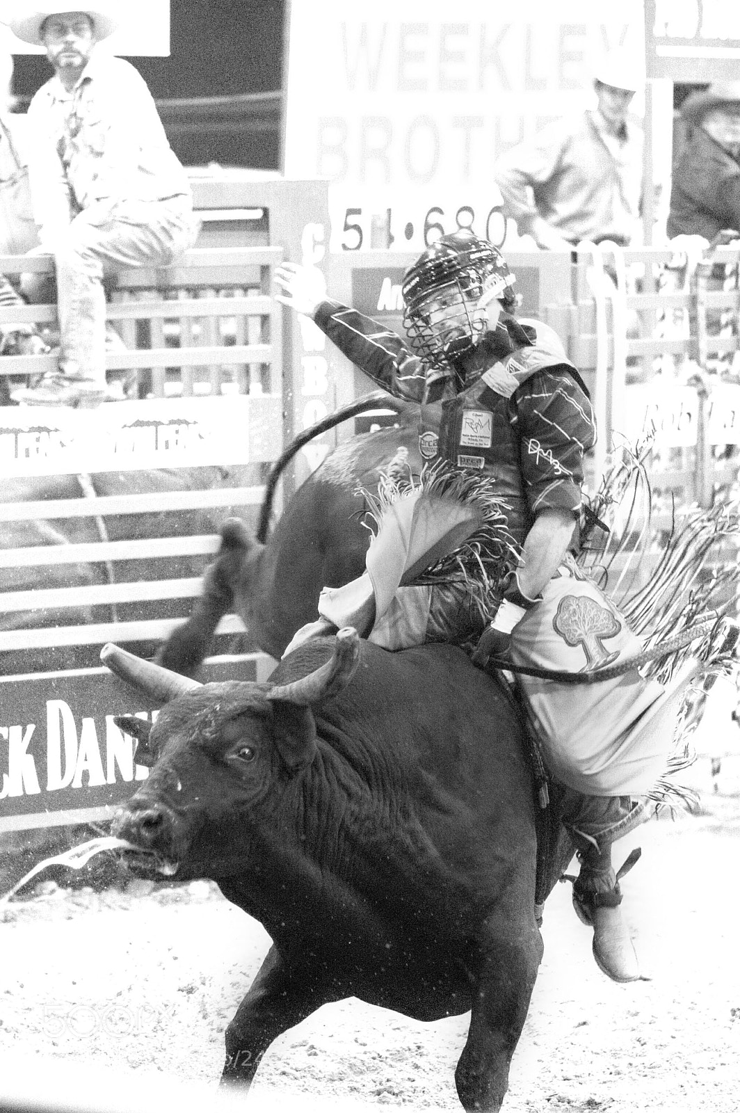 Canon EOS 750D (EOS Rebel T6i / EOS Kiss X8i) sample photo. Rodeo photography