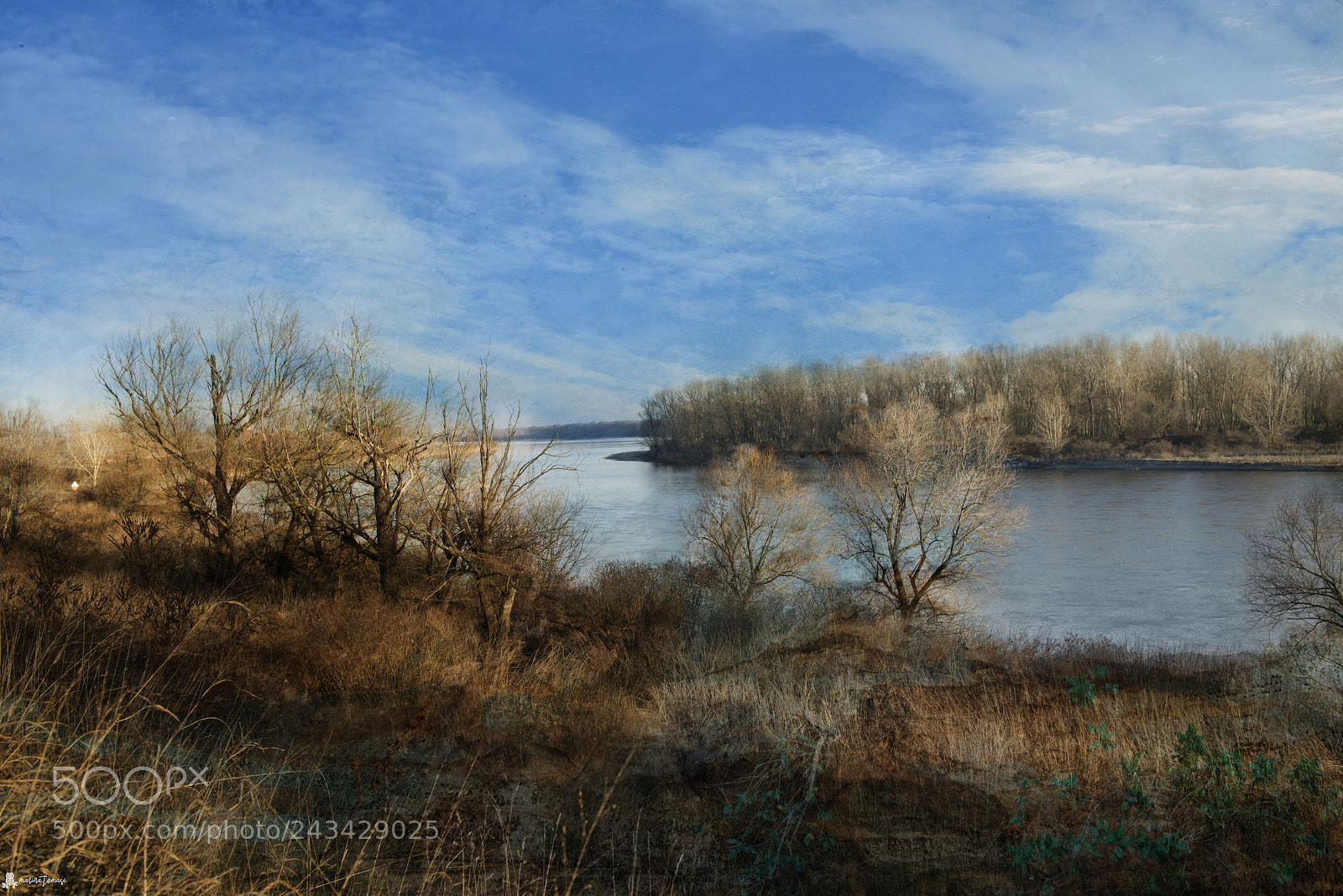 Nikon D810 sample photo. Il po photography