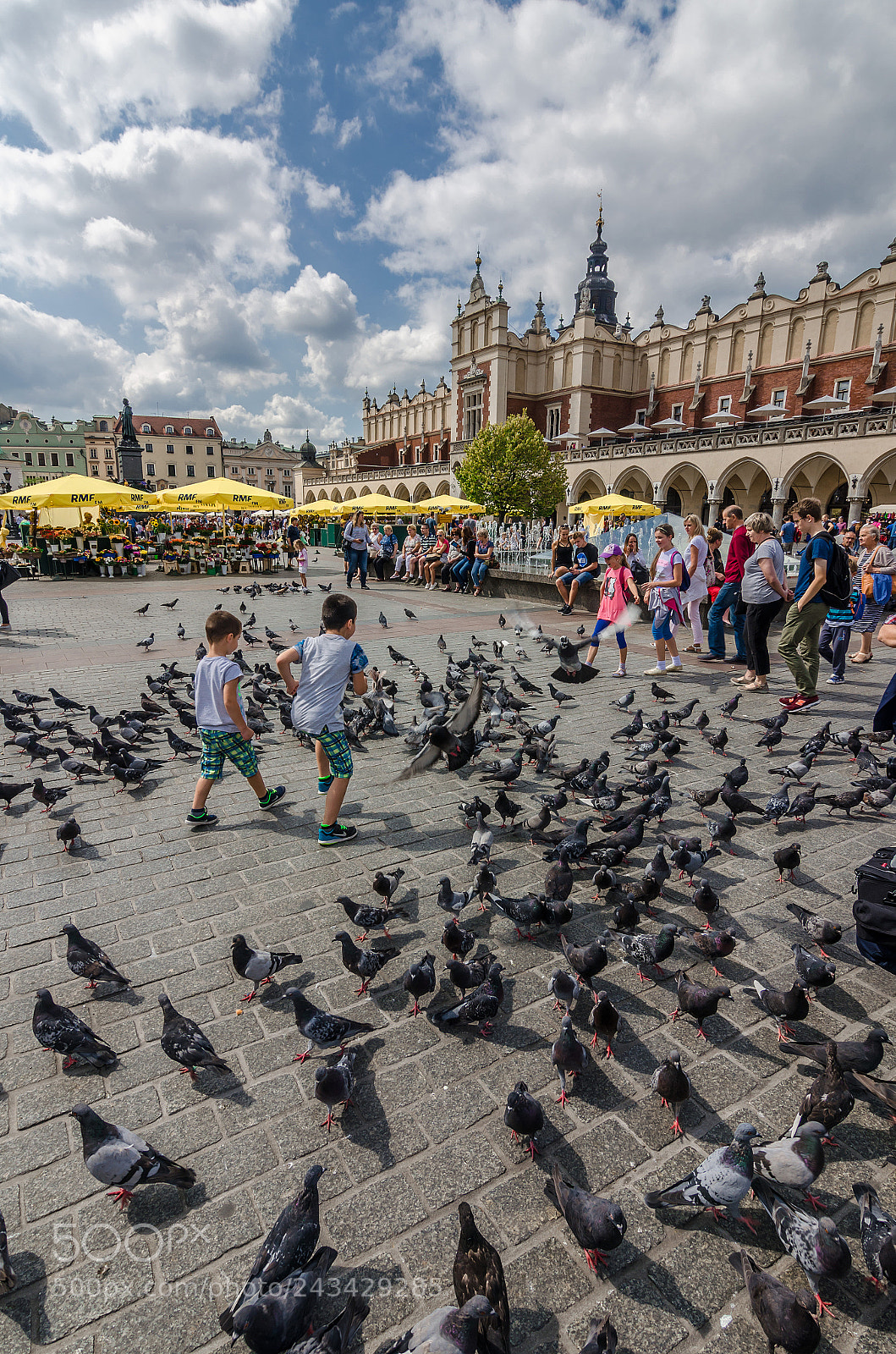 Nikon D5100 sample photo. Among the pigeons photography