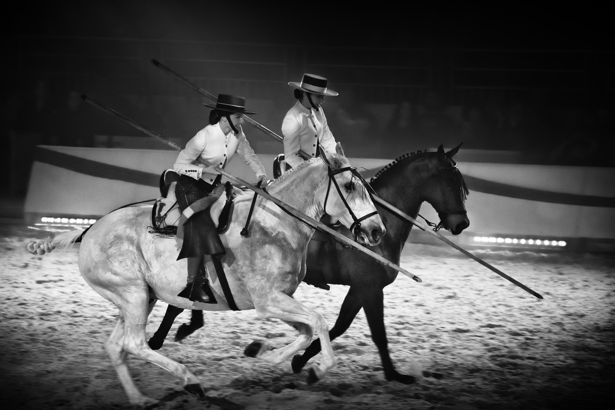 Nikon D850 sample photo. Camargue's show photography