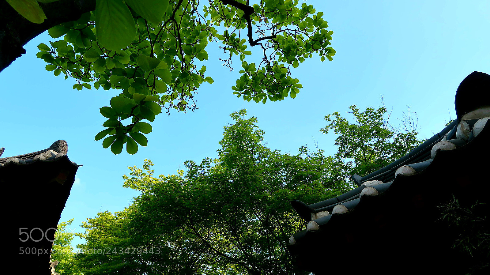 Canon PowerShot G7 X Mark II sample photo. Edge of roof last photography