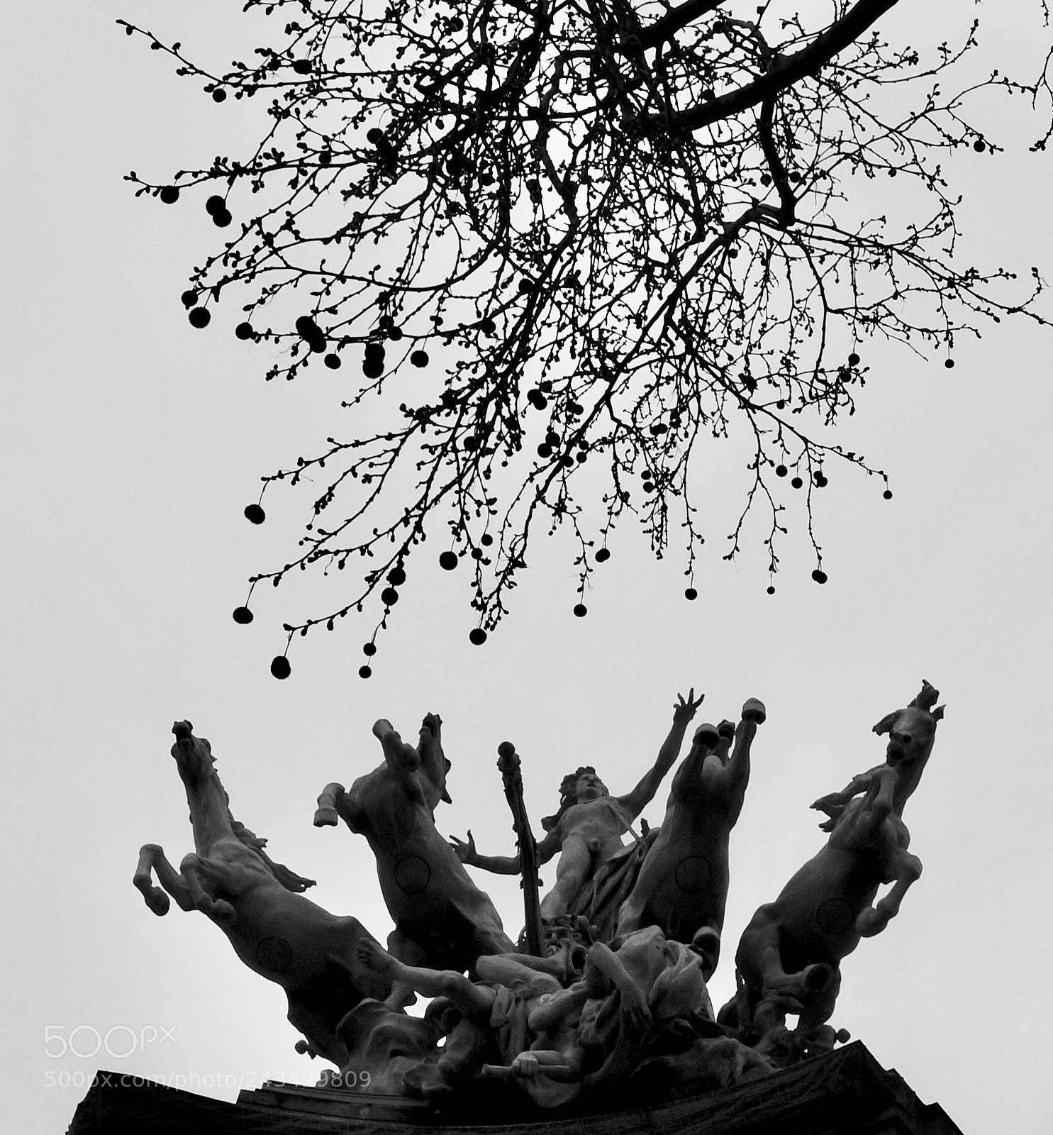 Sony Alpha NEX-7 sample photo. Paris photography