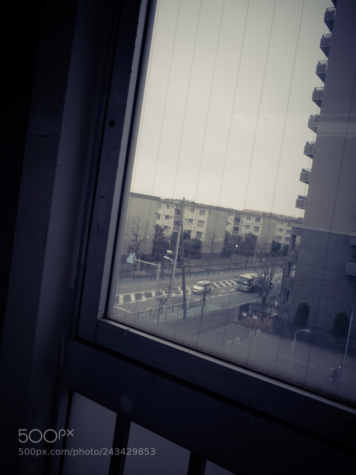 Ricoh GR II sample photo. Untitled photography