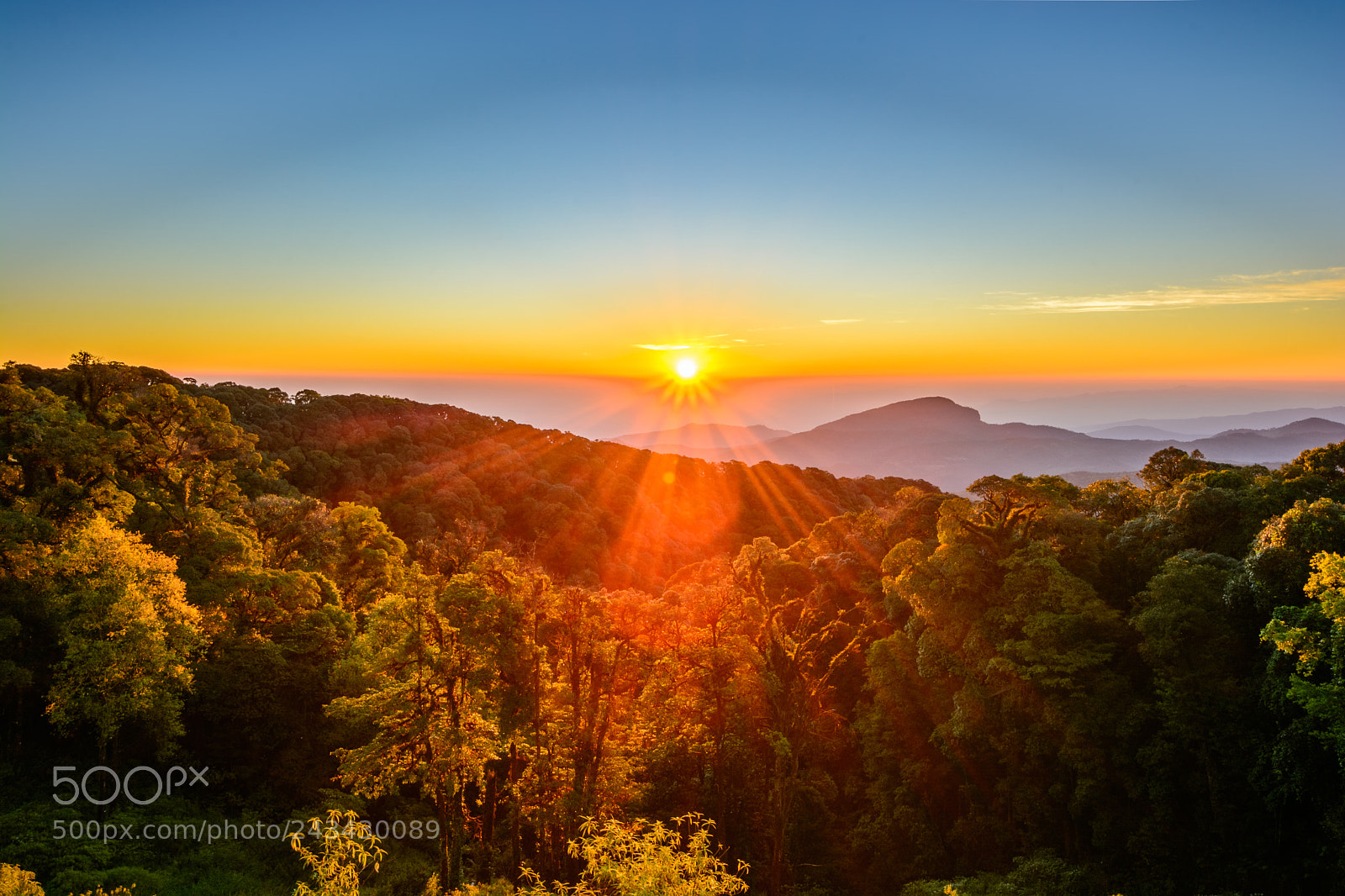 Nikon D7100 sample photo. Sunrise view in morning photography