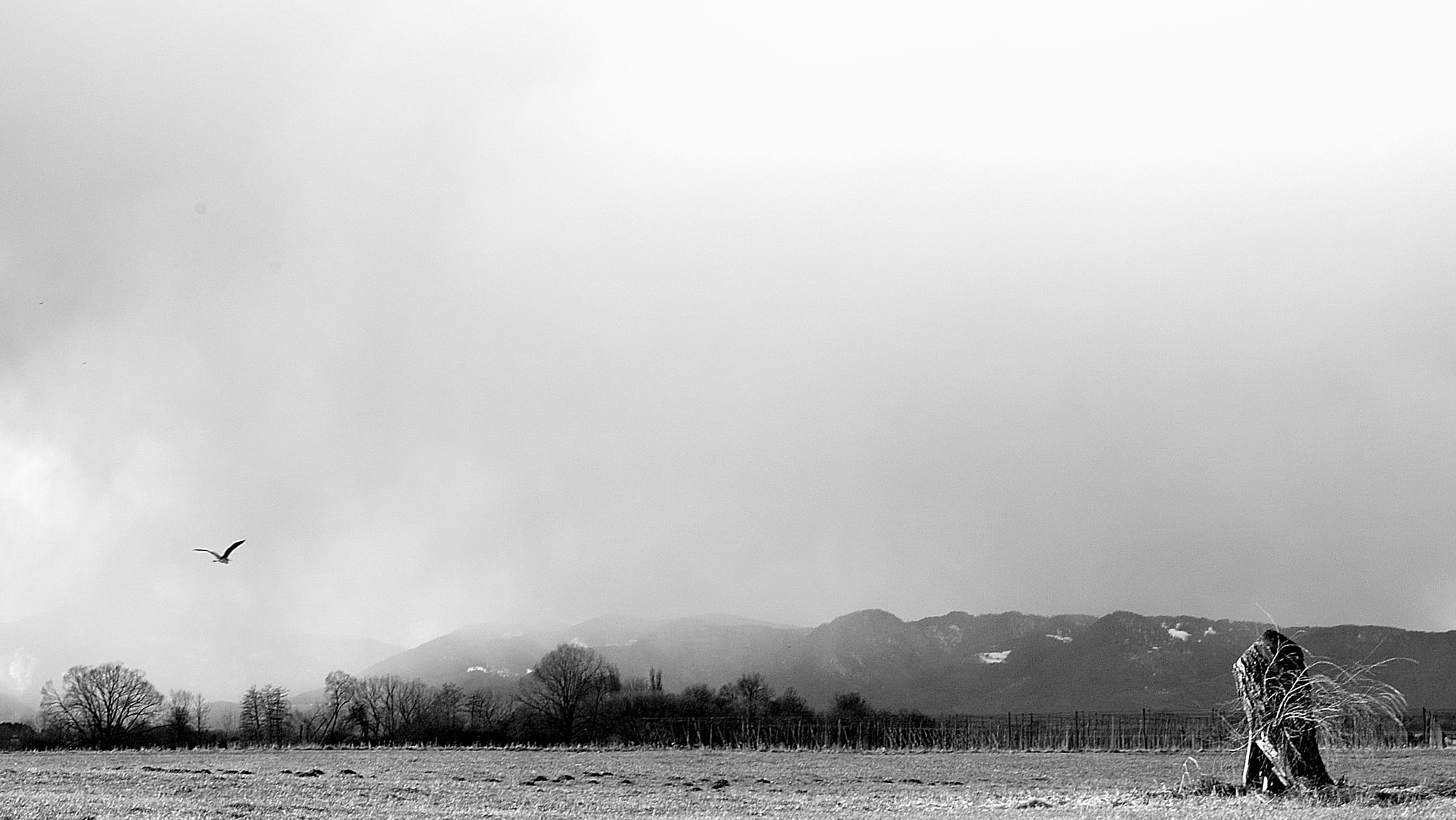 Nikon Df + Nikon AF-S Nikkor 50mm F1.8G sample photo. Landing photography