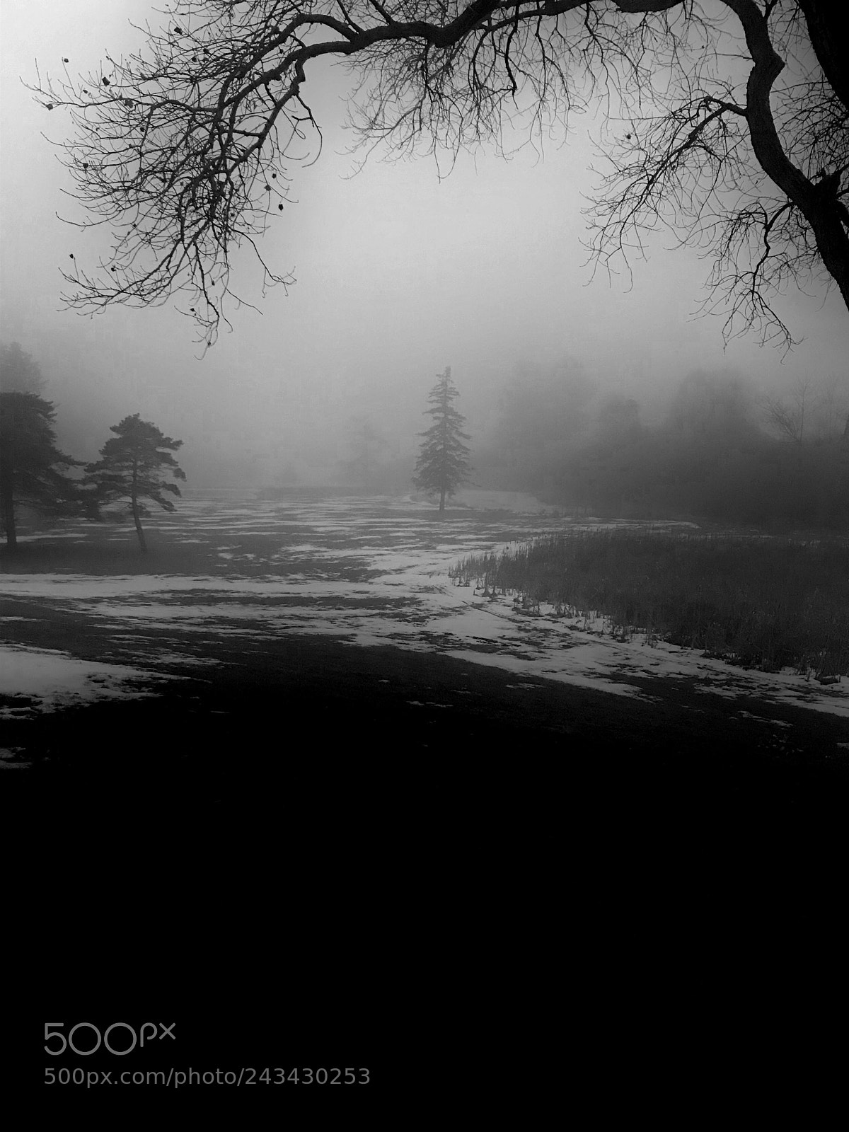 Apple iPhone 7 sample photo. Foggy winter photography