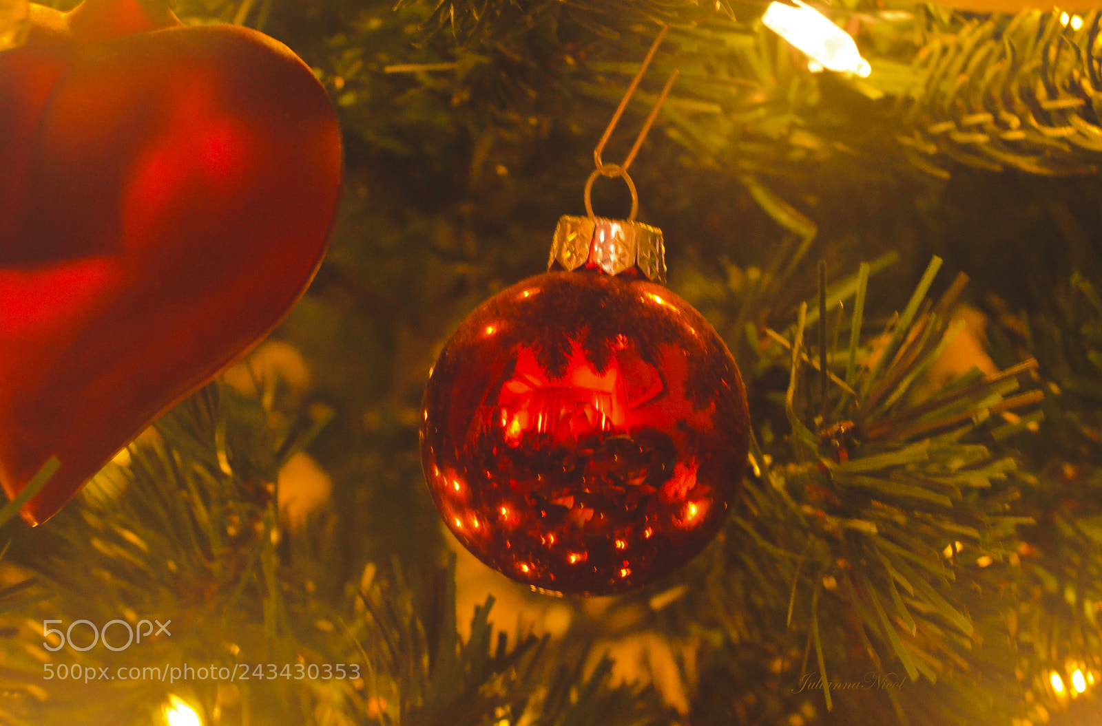 Nikon D3100 sample photo. Reflections and mirrors photography