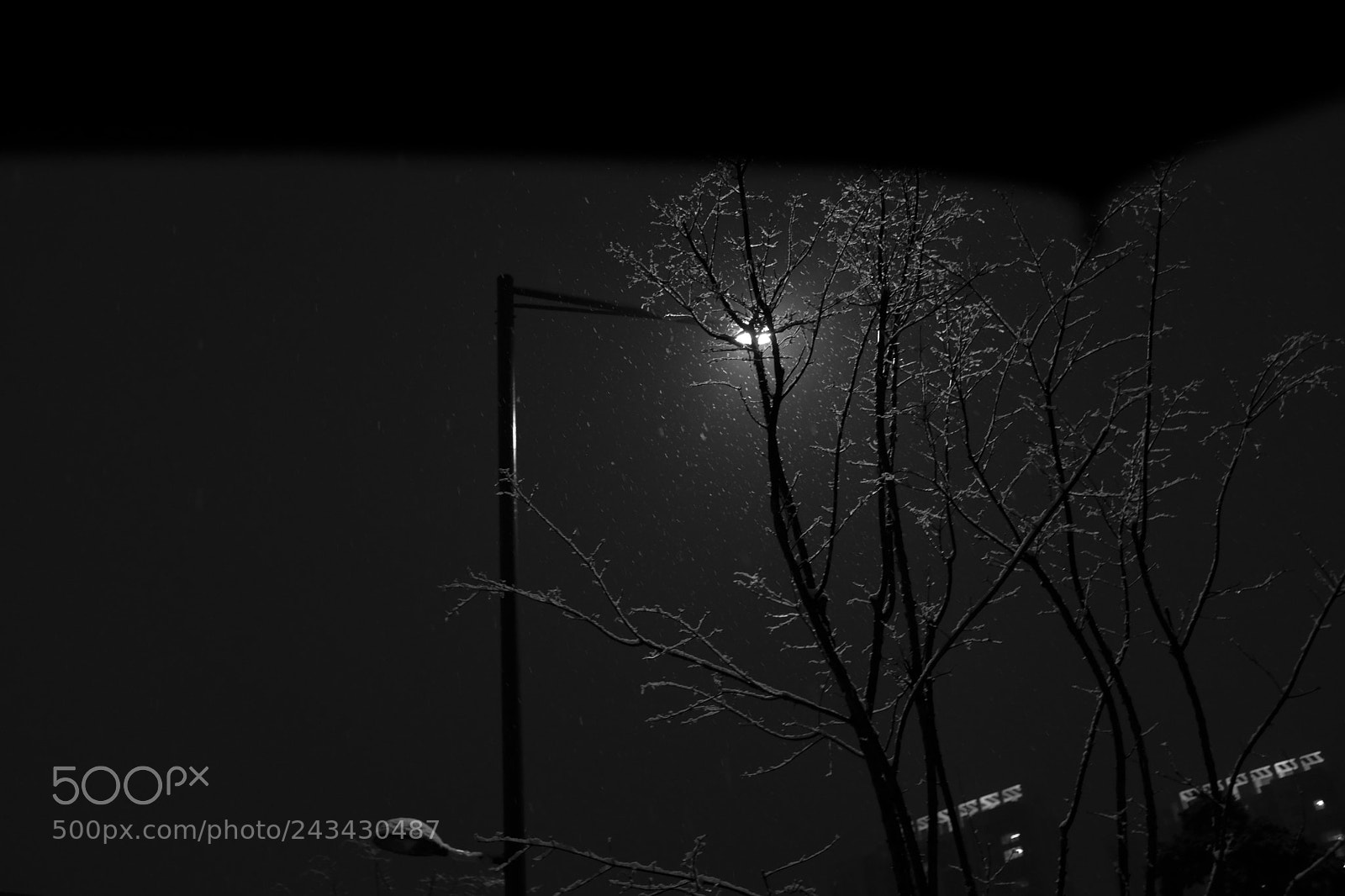 Fujifilm X100F sample photo. Snow photography
