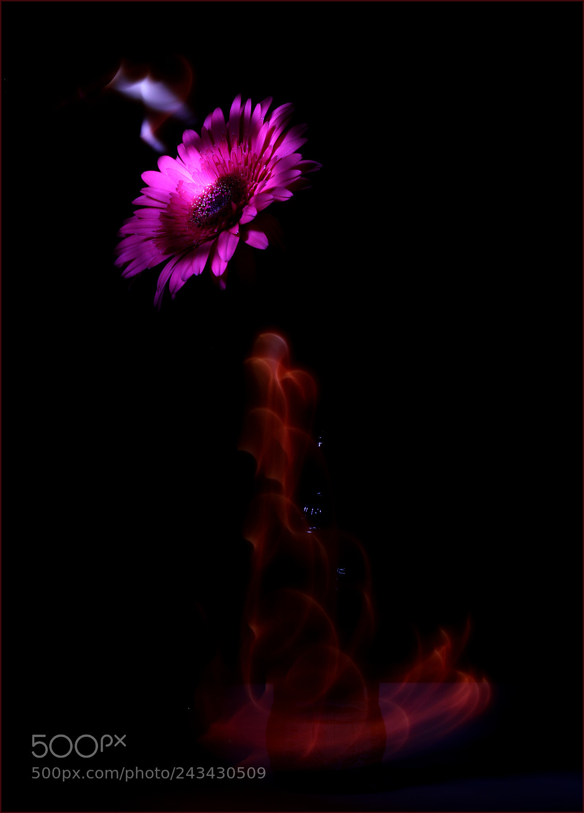 Canon EOS 7D Mark II sample photo. Flower on fire photography
