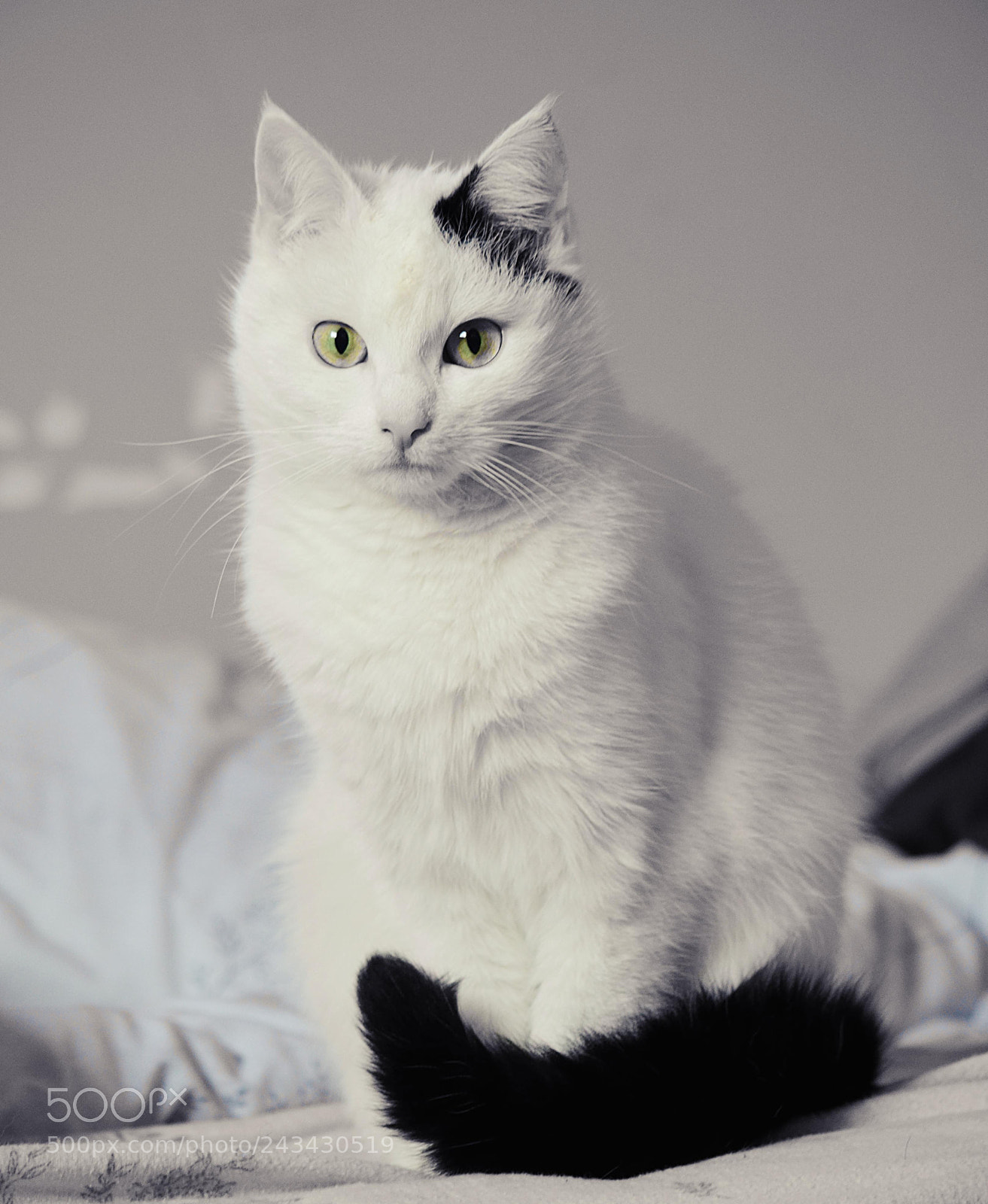 Nikon D5100 sample photo. Flo-mania photography