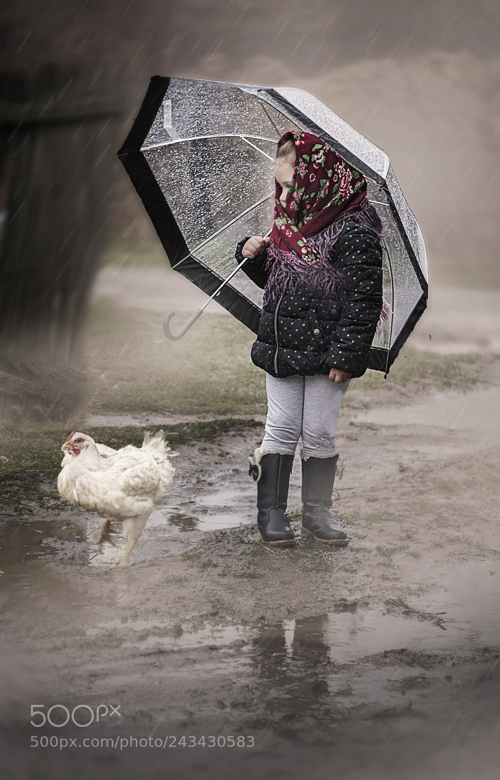 Nikon D3100 sample photo. Hen photography