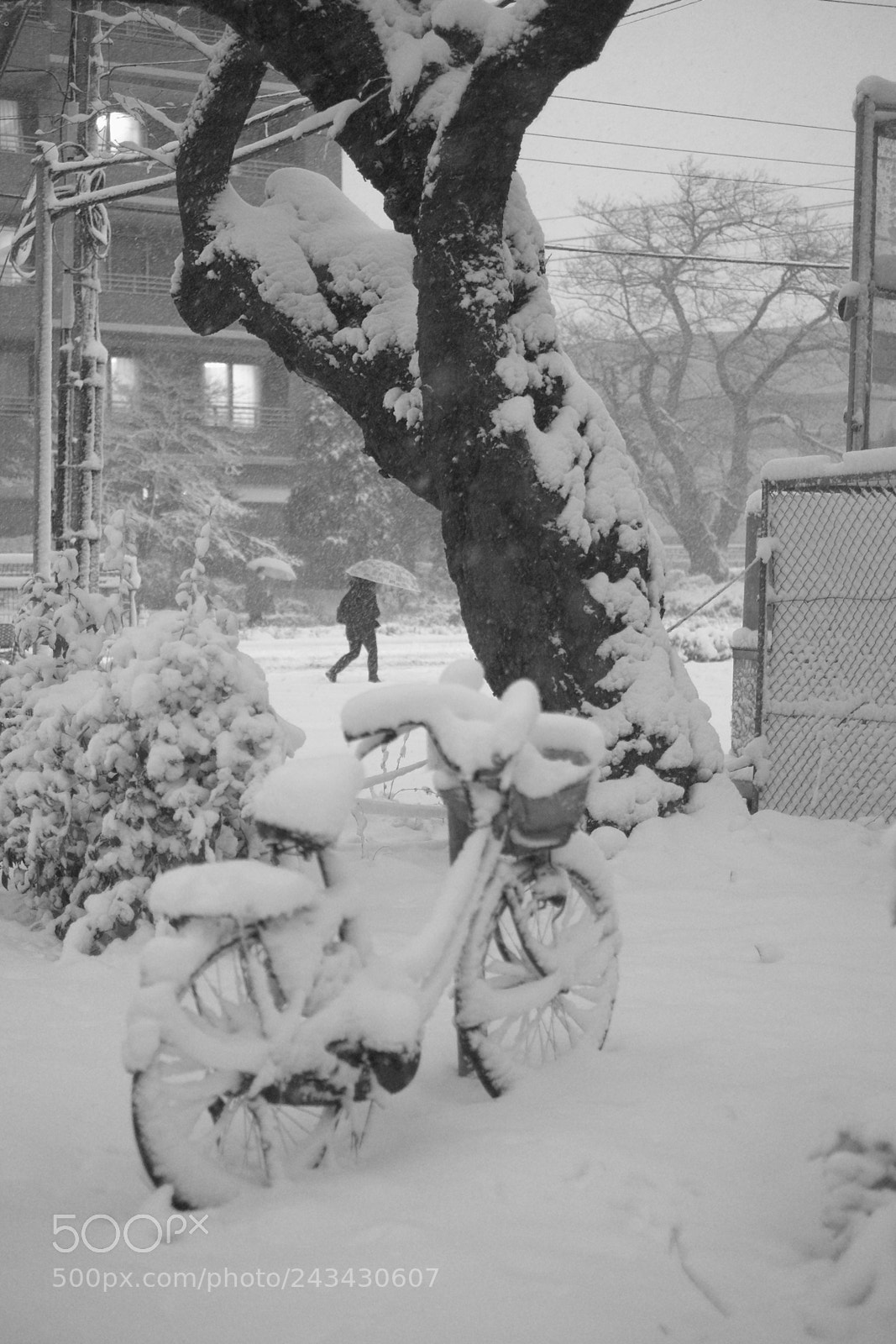Fujifilm X-T10 sample photo. Snowing photography