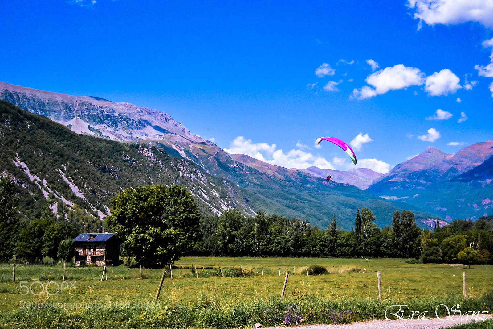 Nikon D3100 sample photo. Planeando photography