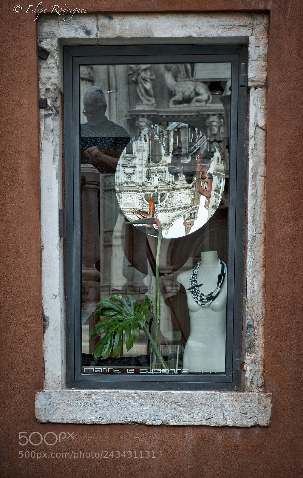 Nikon D800E sample photo. Upside down photography