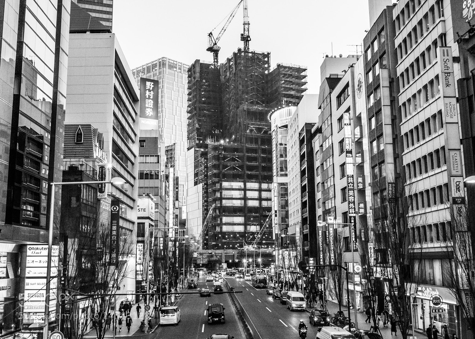 Panasonic Lumix DMC-GX8 sample photo. Shibuya photography