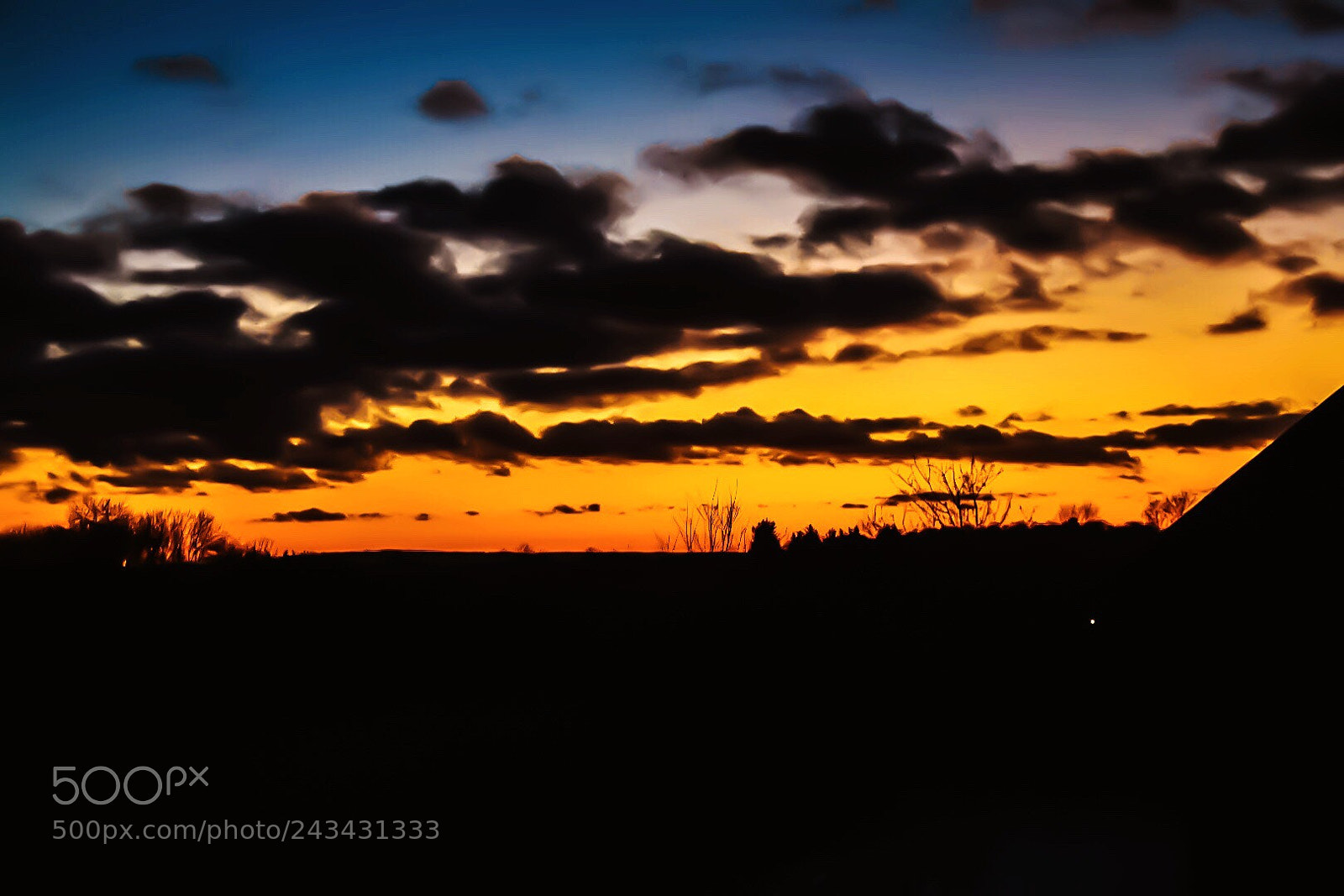 Nikon D5500 sample photo. Golden sunset photography