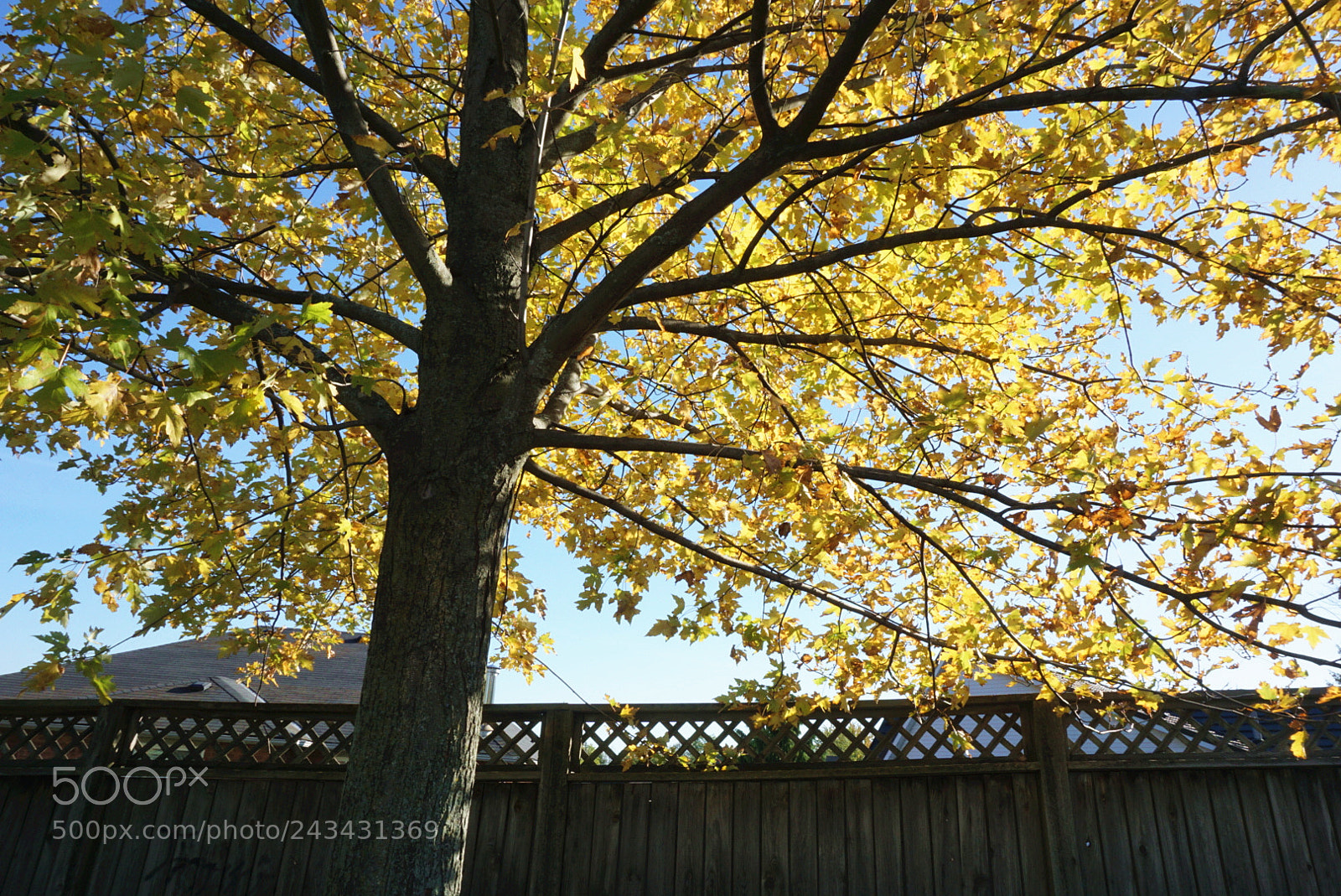Sony a5100 sample photo. Cai landscape photography