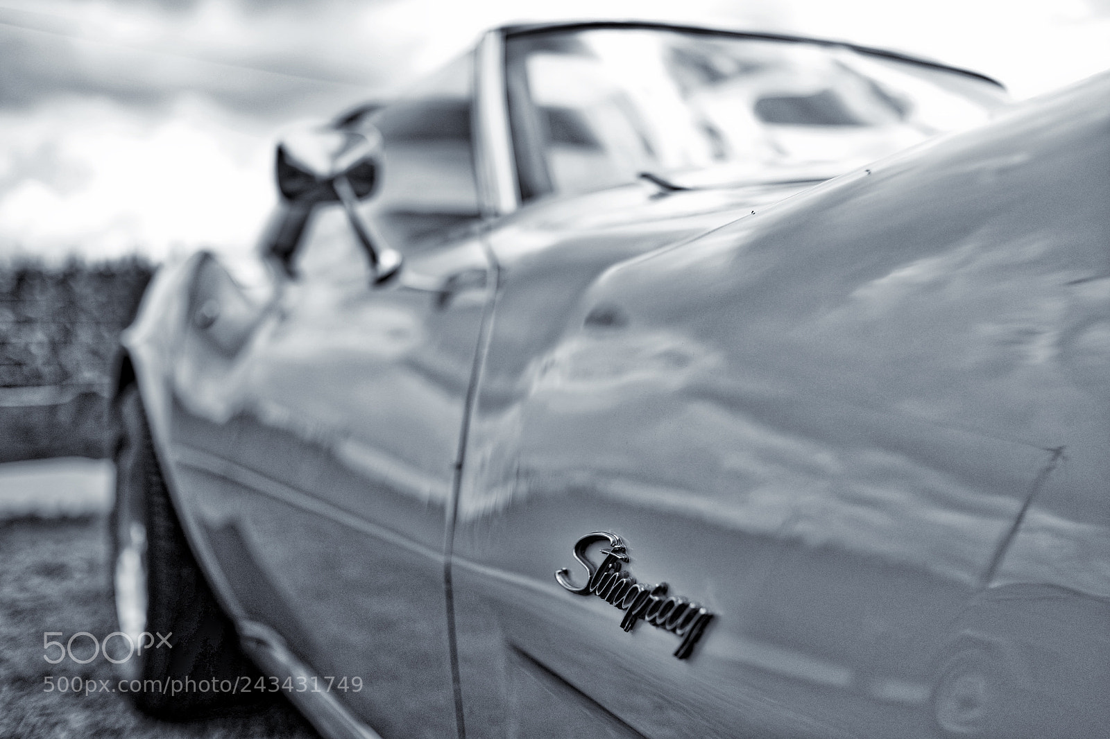 Fujifilm X-E2 sample photo. Stingray photography