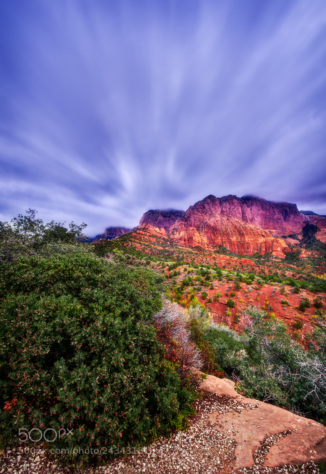 Nikon D810 sample photo. Zion national park photography