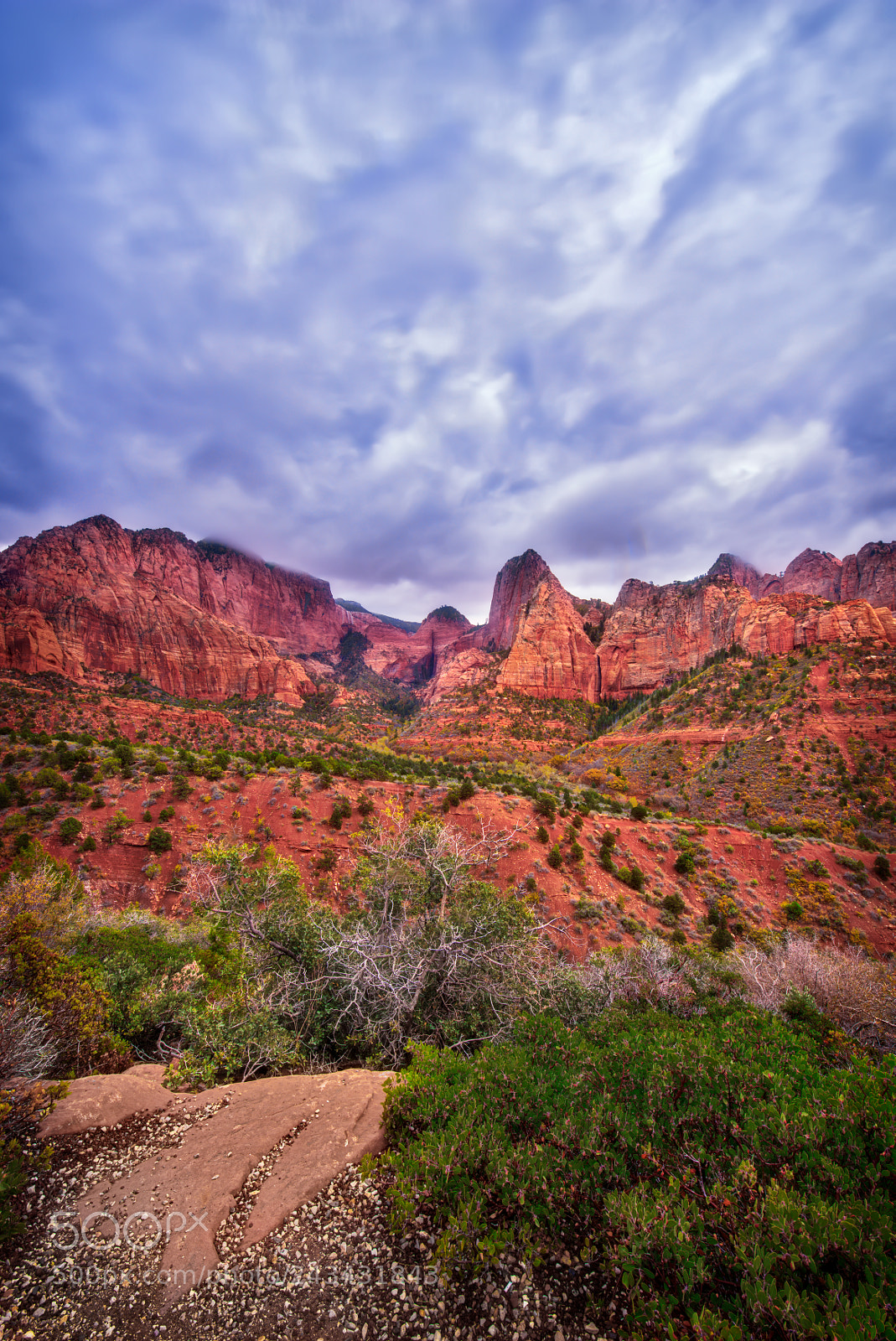 Nikon D810 sample photo. Kolob canyons, zion national photography