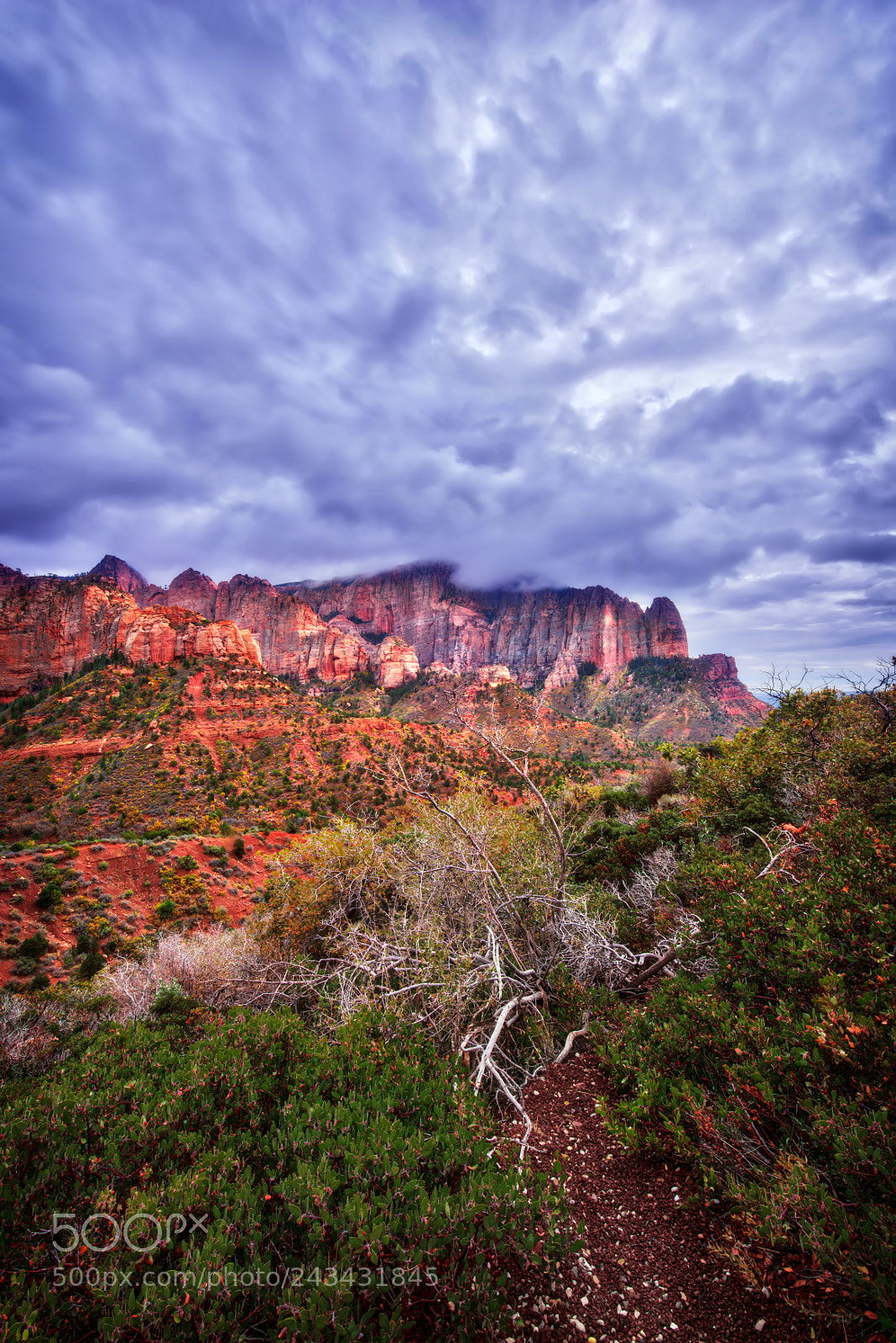 Nikon D810 sample photo. Kolob canyons, zion national photography