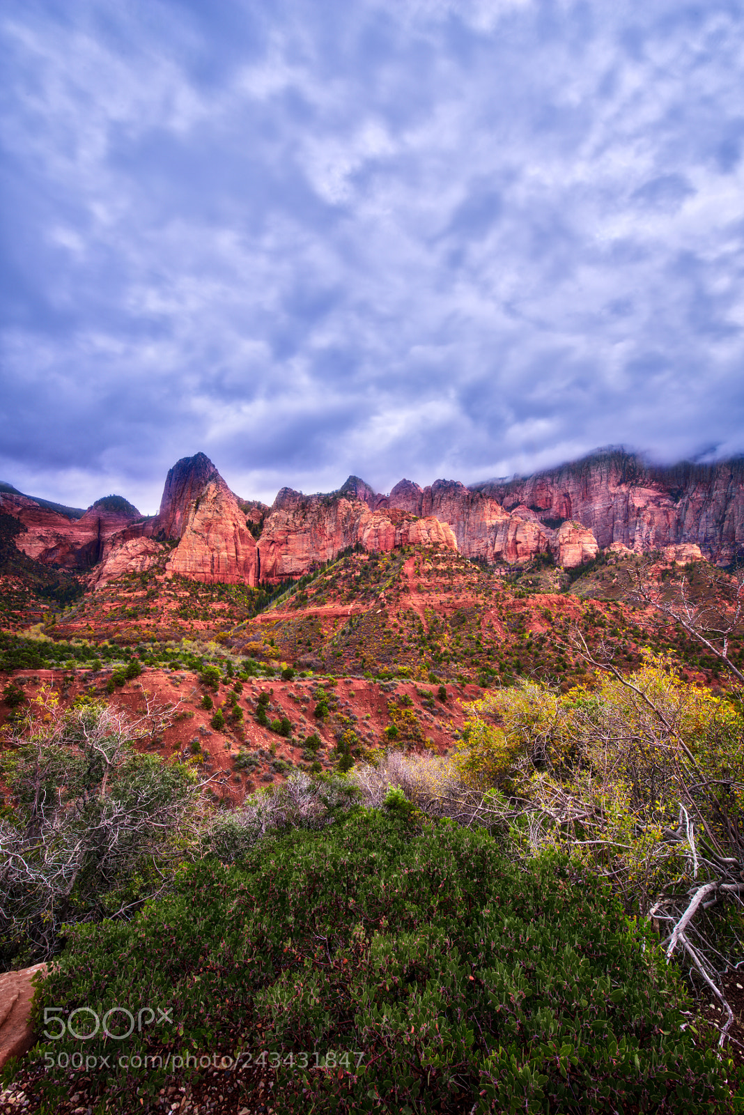 Nikon D810 sample photo. Kolob canyons, zion national photography