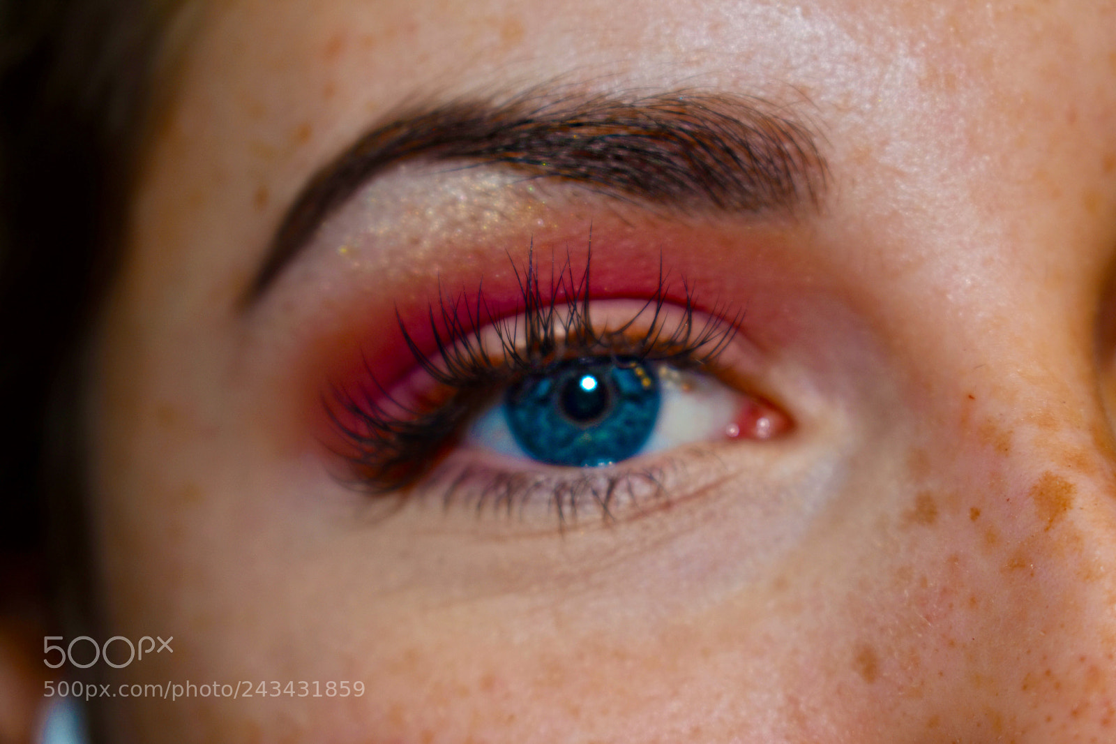 Nikon D3400 sample photo. Eye photography
