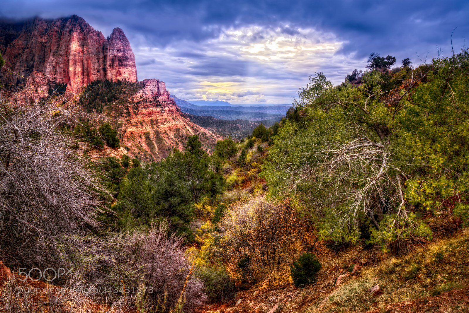 Nikon D810 sample photo. Kolob canyons, zion national photography