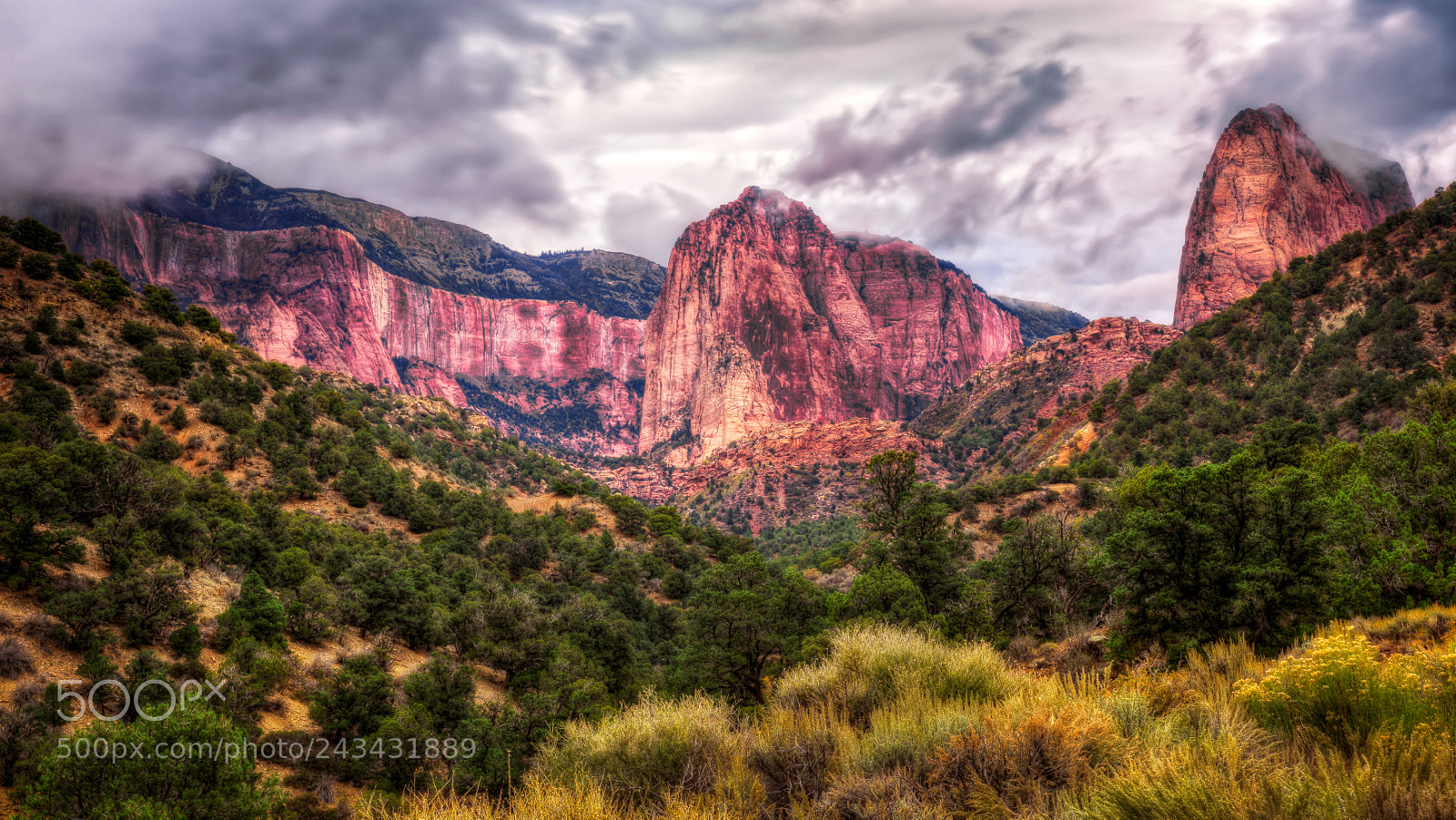 Nikon D810 sample photo. Kolob canyons, zion national photography