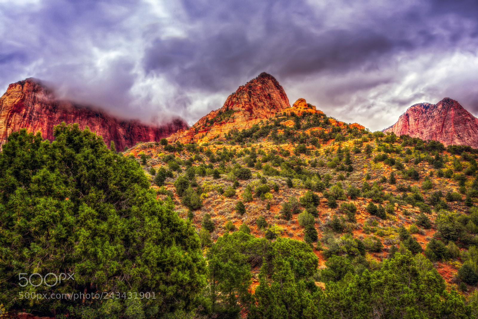 Nikon D810 sample photo. Kolob canyons, zion national photography