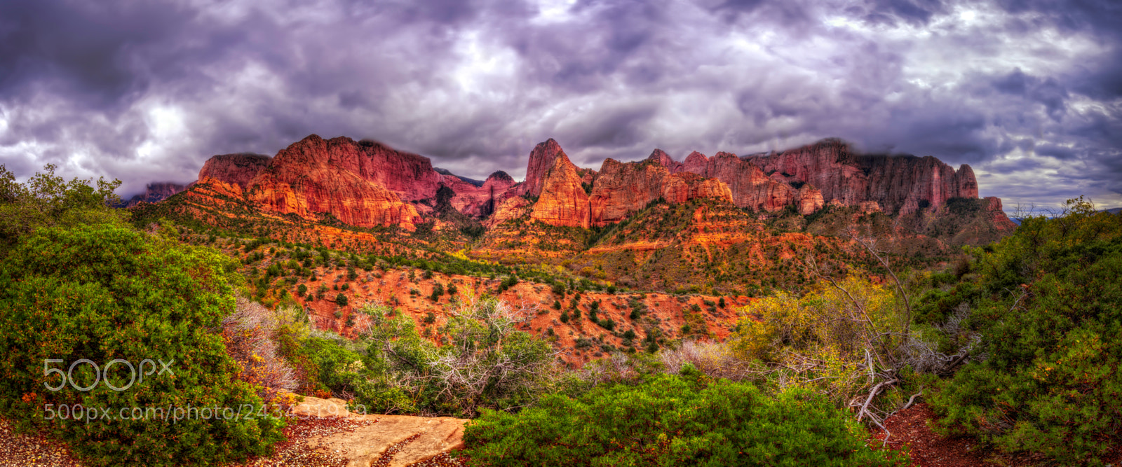 Nikon D810 sample photo. Kolob canyons, zion national photography