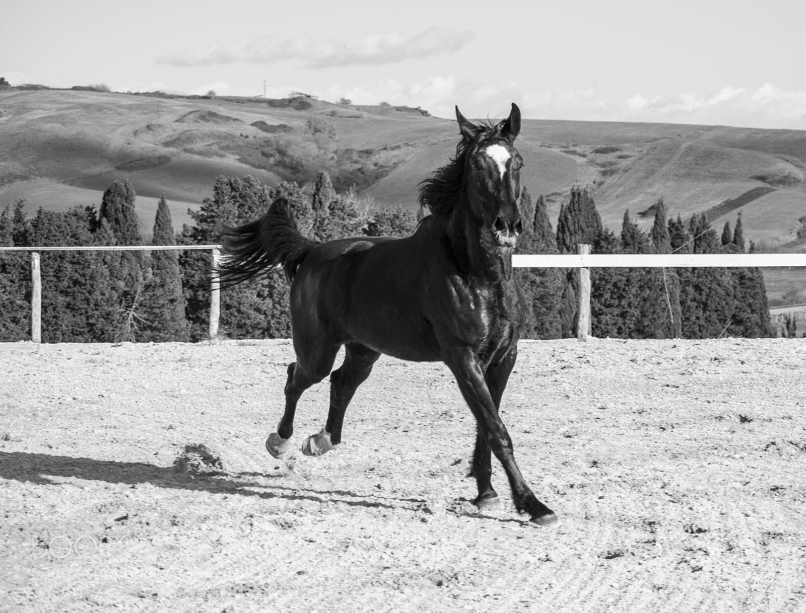 Canon EOS 1000D (EOS Digital Rebel XS / EOS Kiss F) sample photo. K... photography