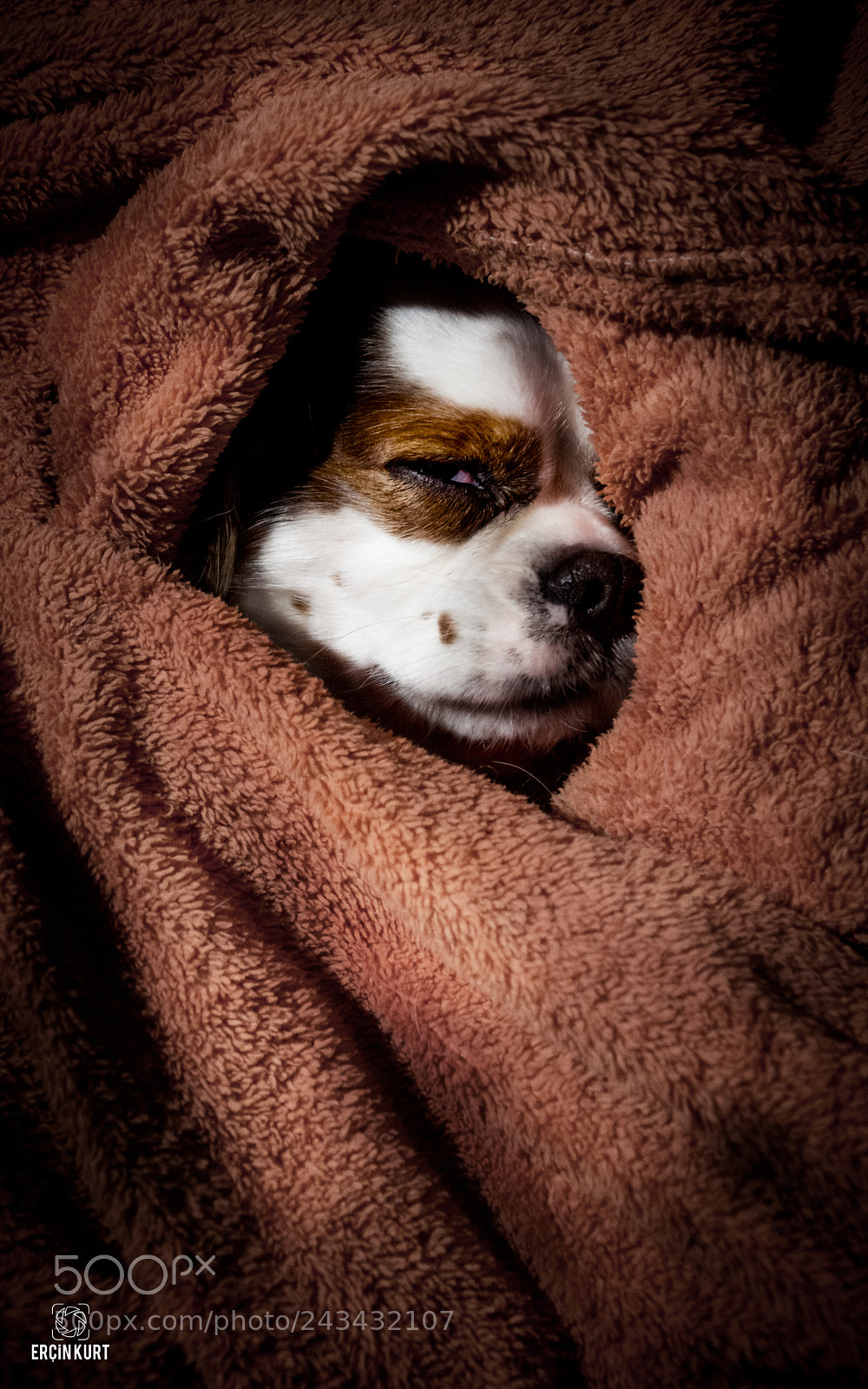 Nikon D7100 sample photo. Good blanket :) photography