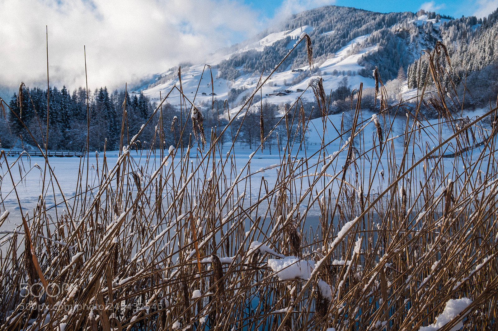 Fujifilm X-T1 sample photo. Winteridyll on the lake photography