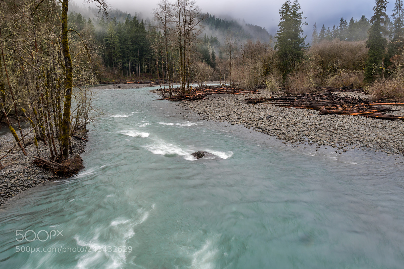 Nikon D500 sample photo. Olympic national park, winter photography
